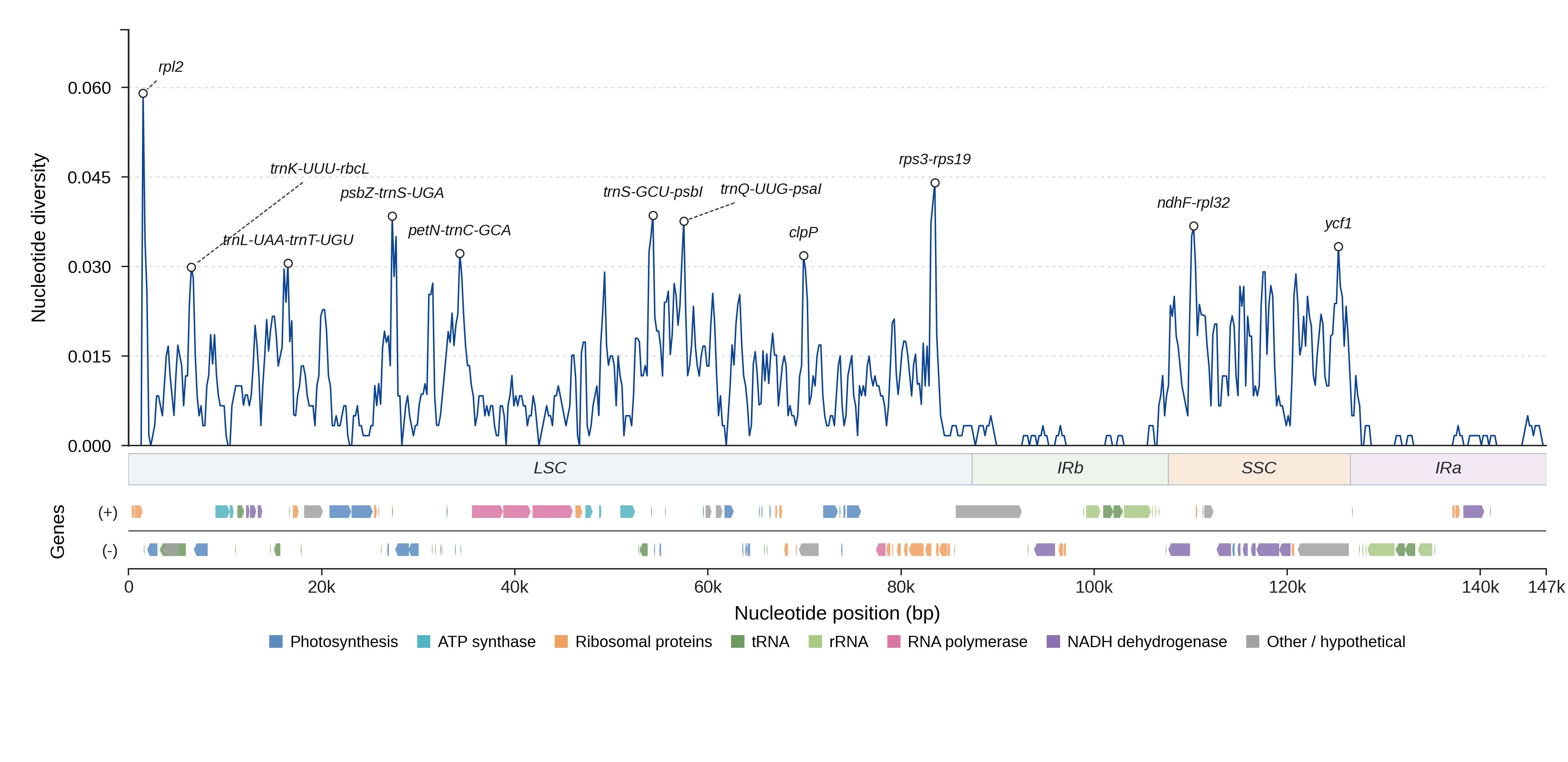 Sliding-window nucleotide diversity
