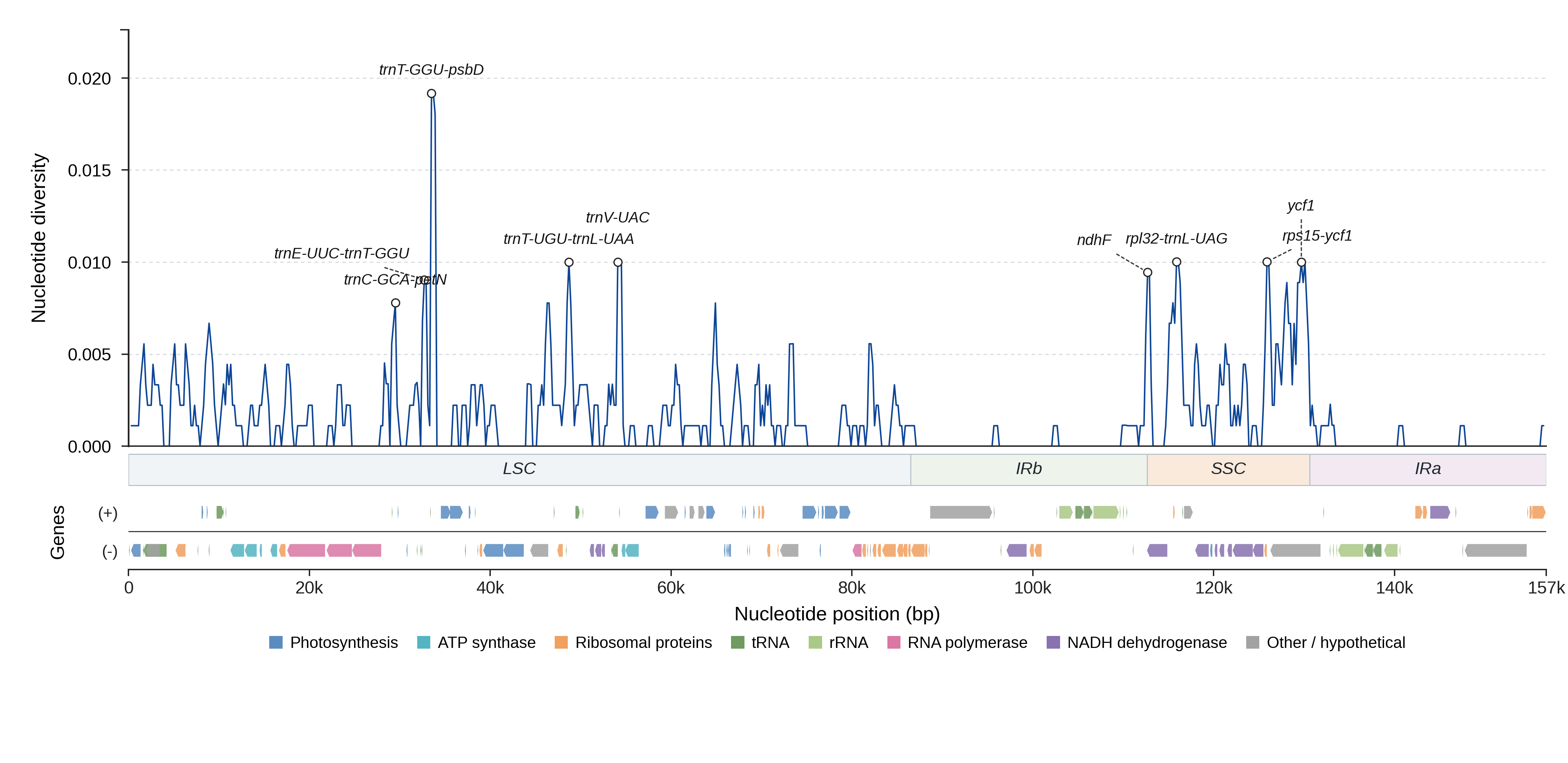 Sliding-window nucleotide diversity