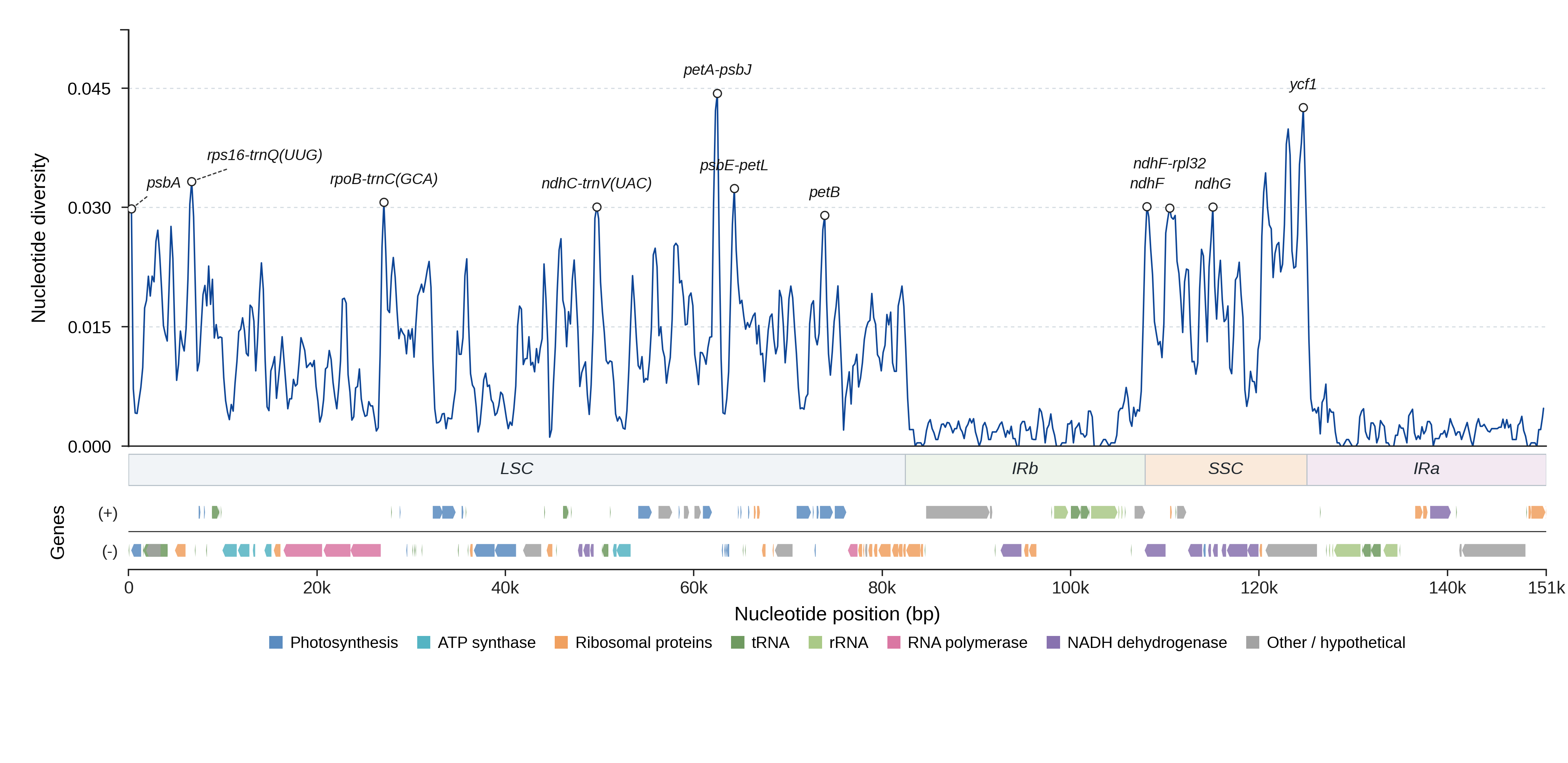 Sliding-window nucleotide diversity