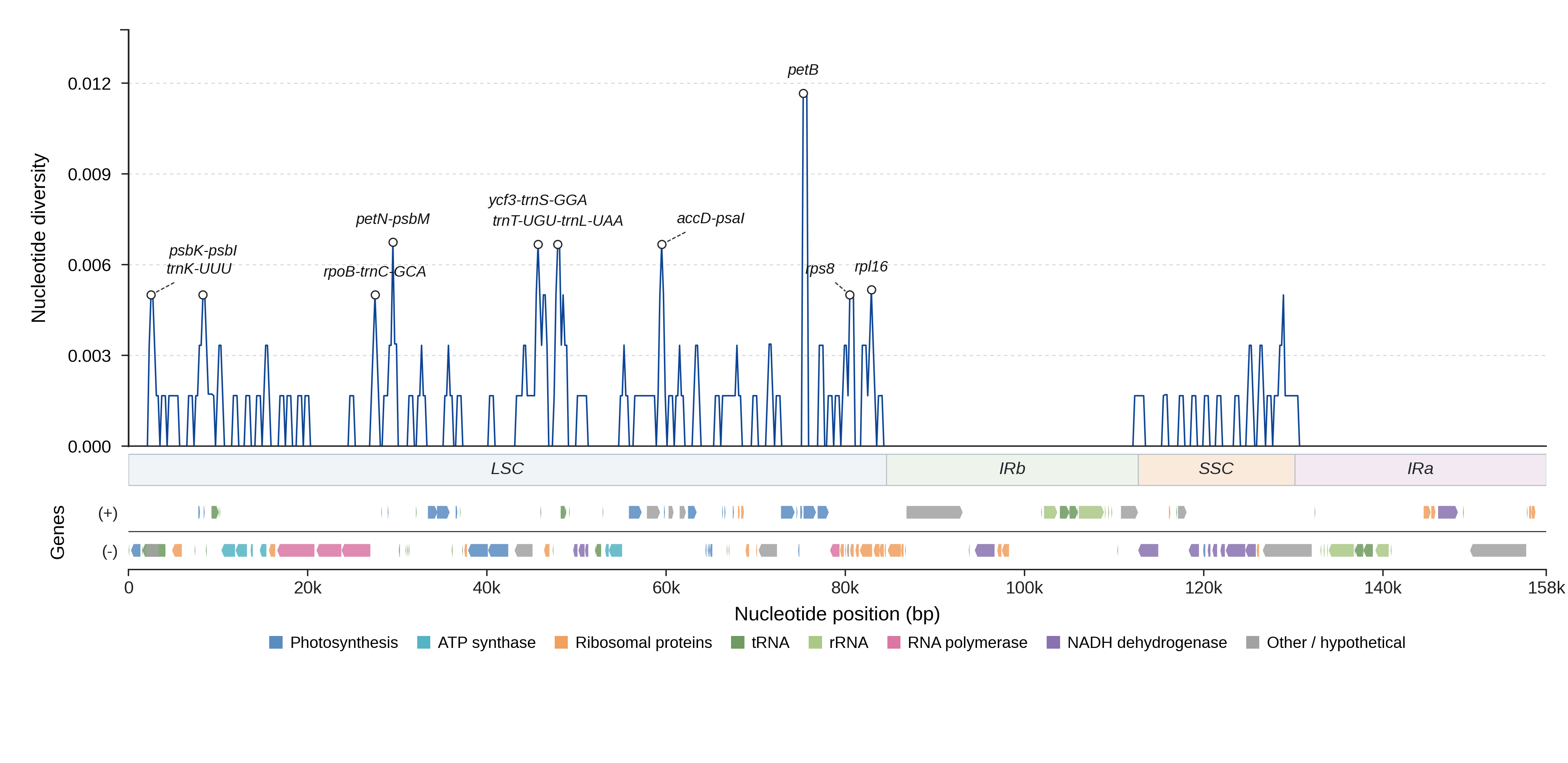 Sliding-window nucleotide diversity