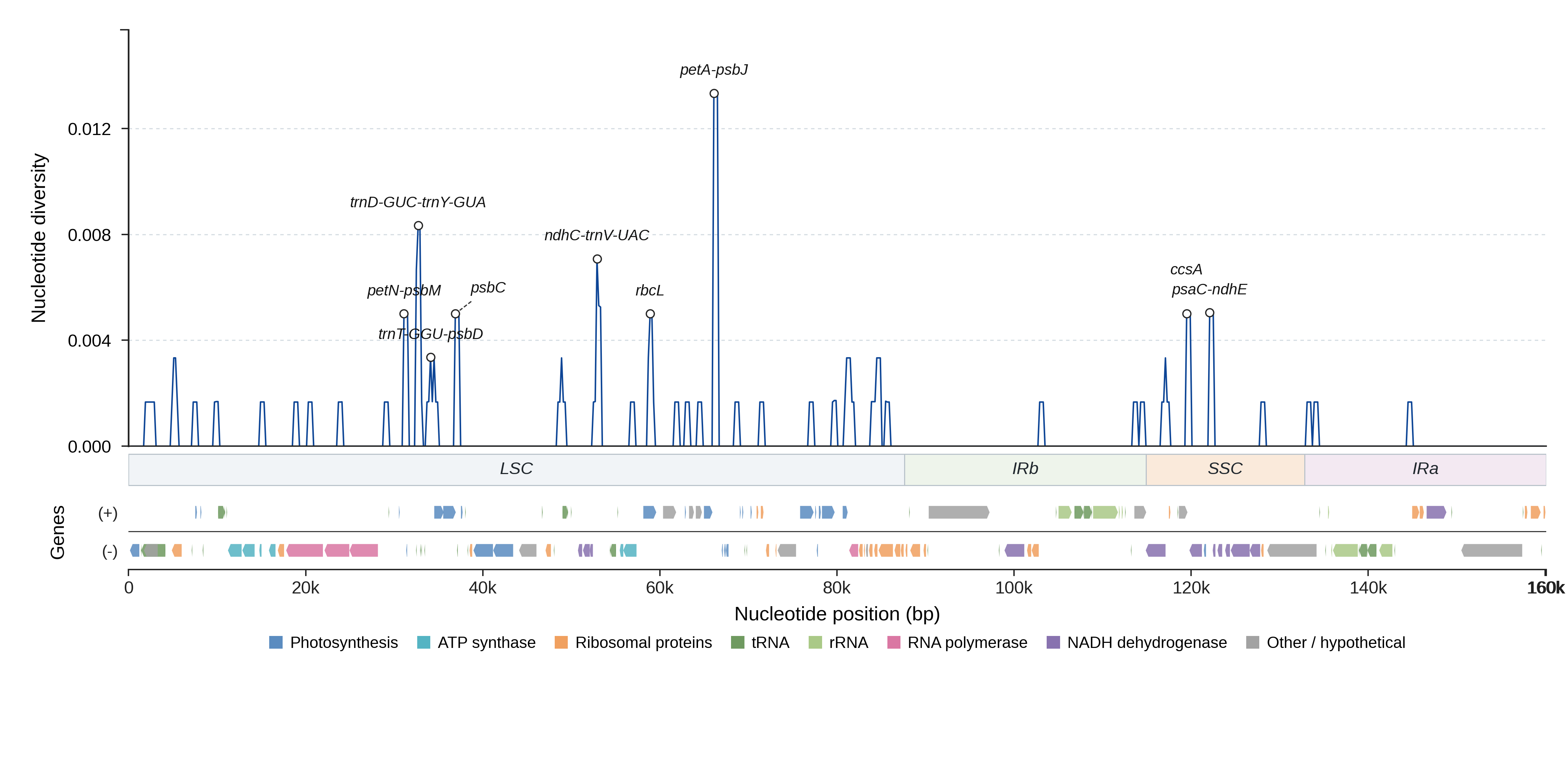 Sliding-window nucleotide diversity