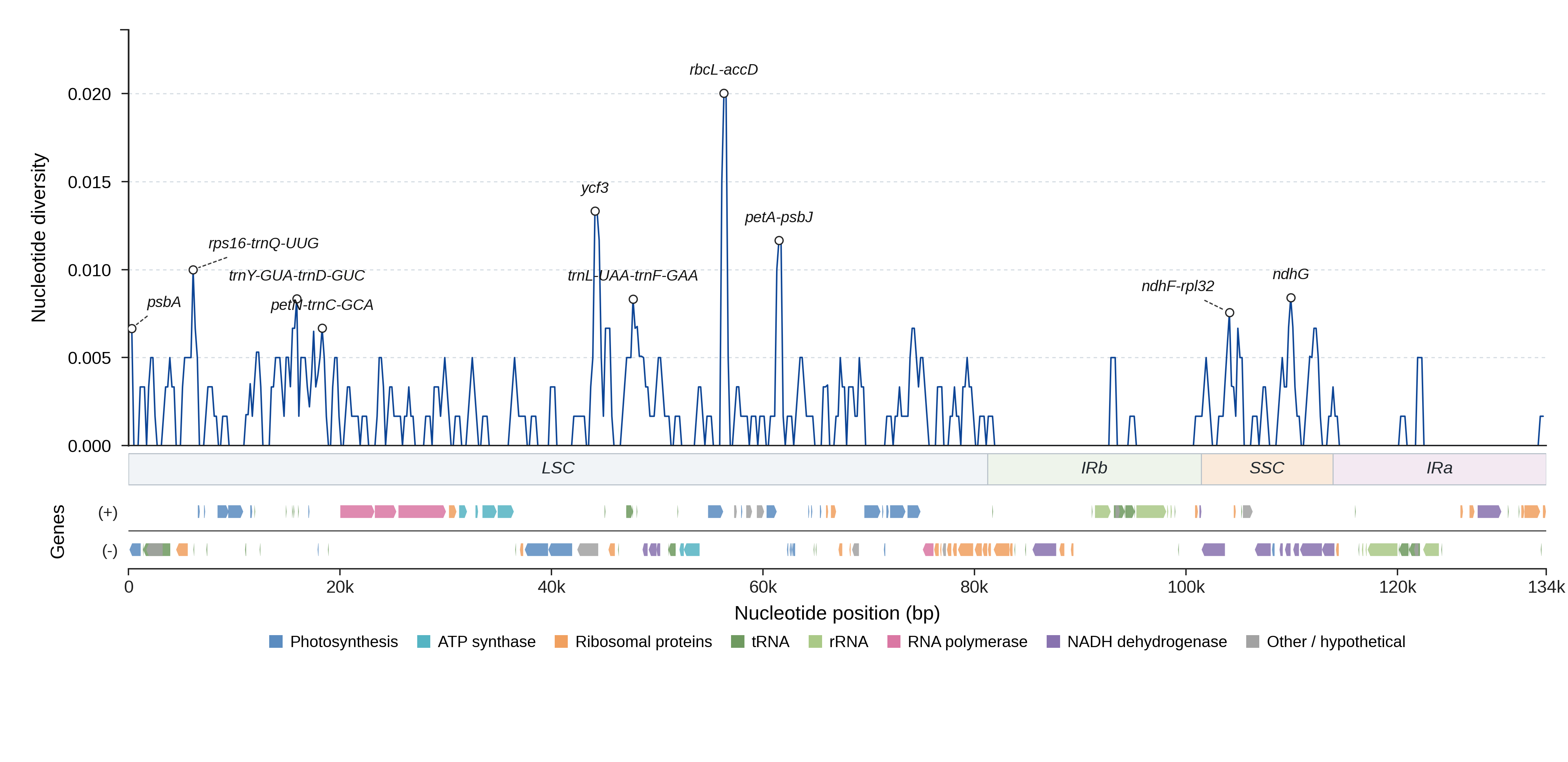 Sliding-window nucleotide diversity