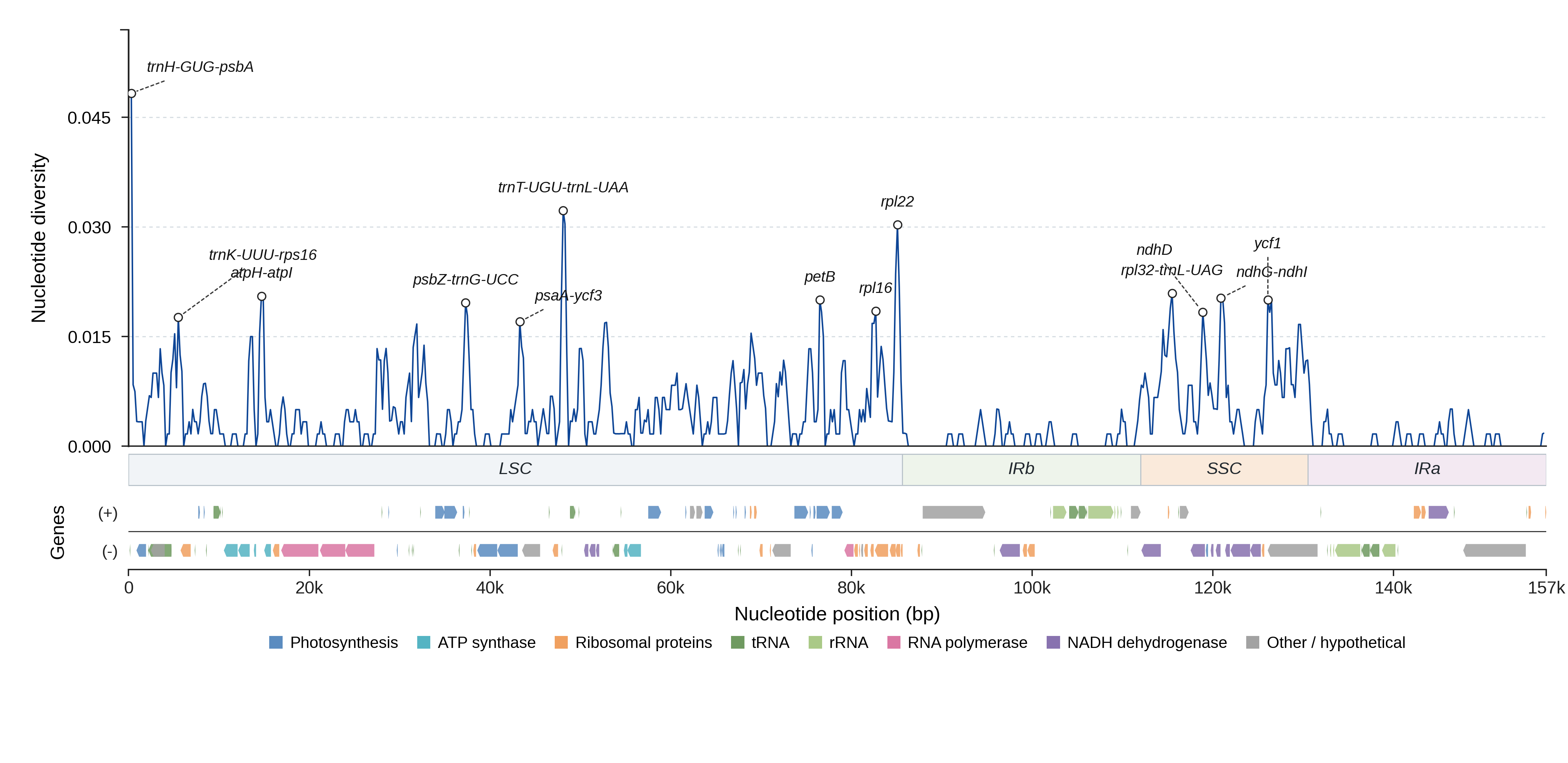 Sliding-window nucleotide diversity