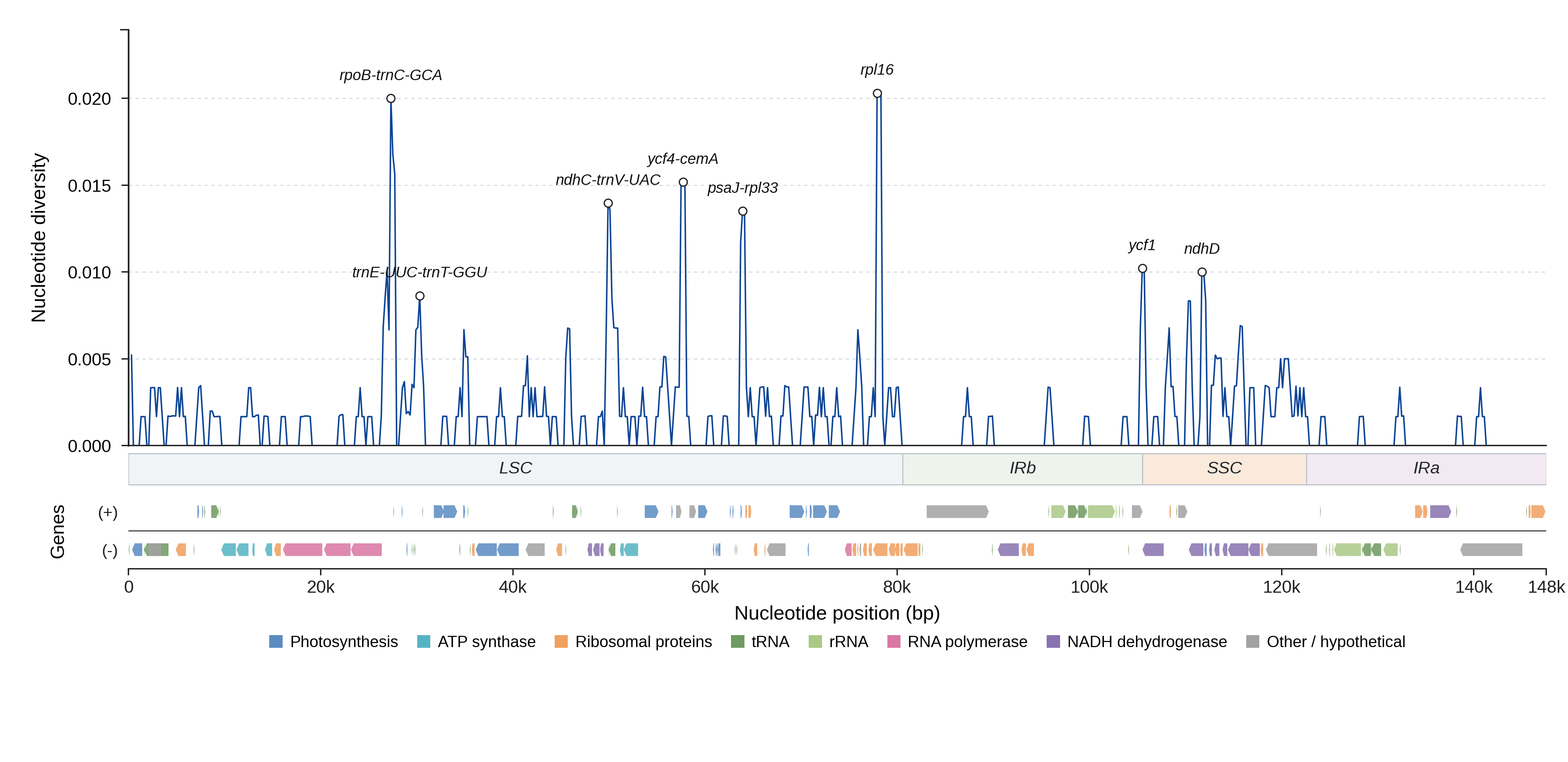 Sliding-window nucleotide diversity