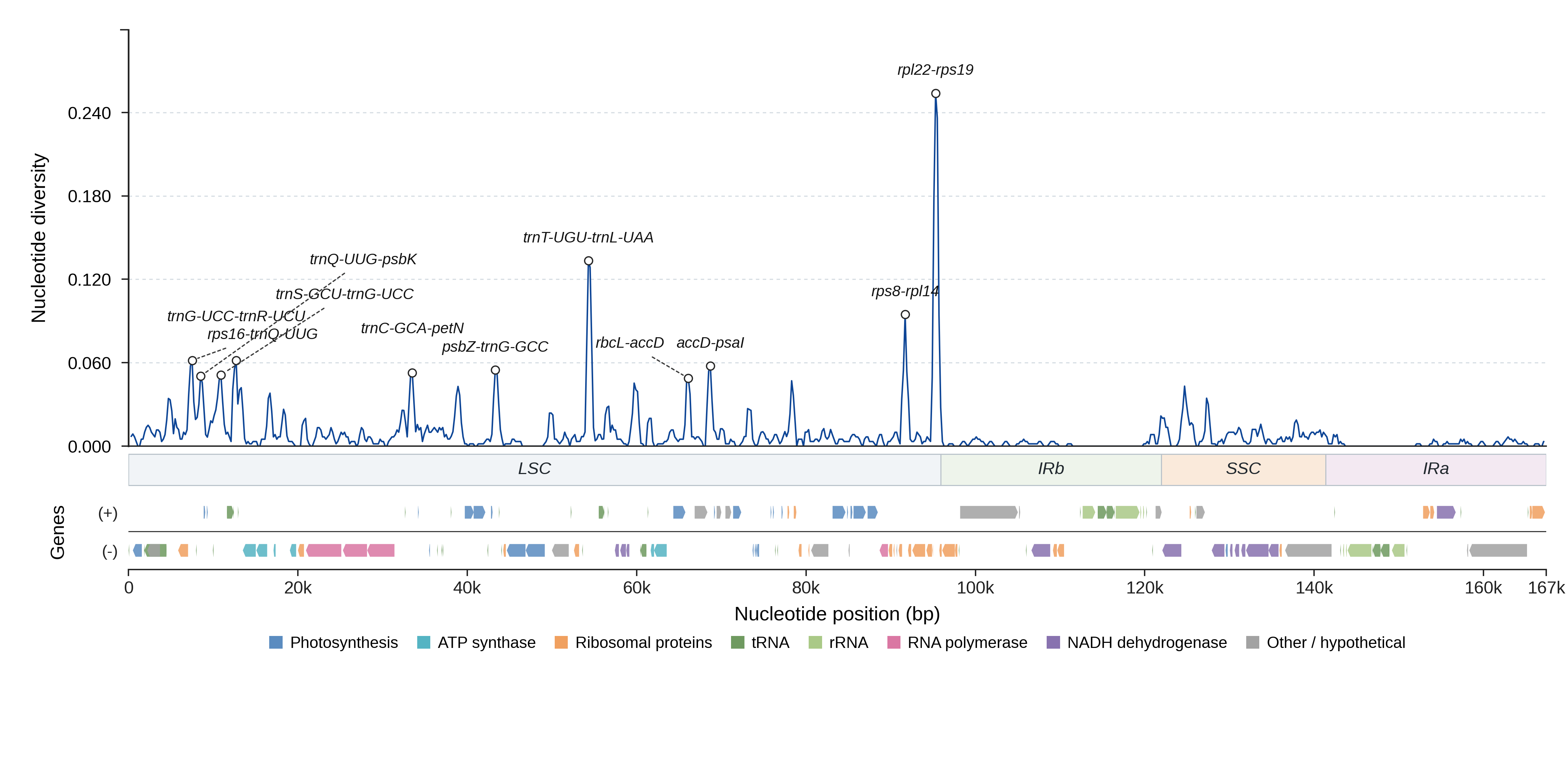 Sliding-window nucleotide diversity