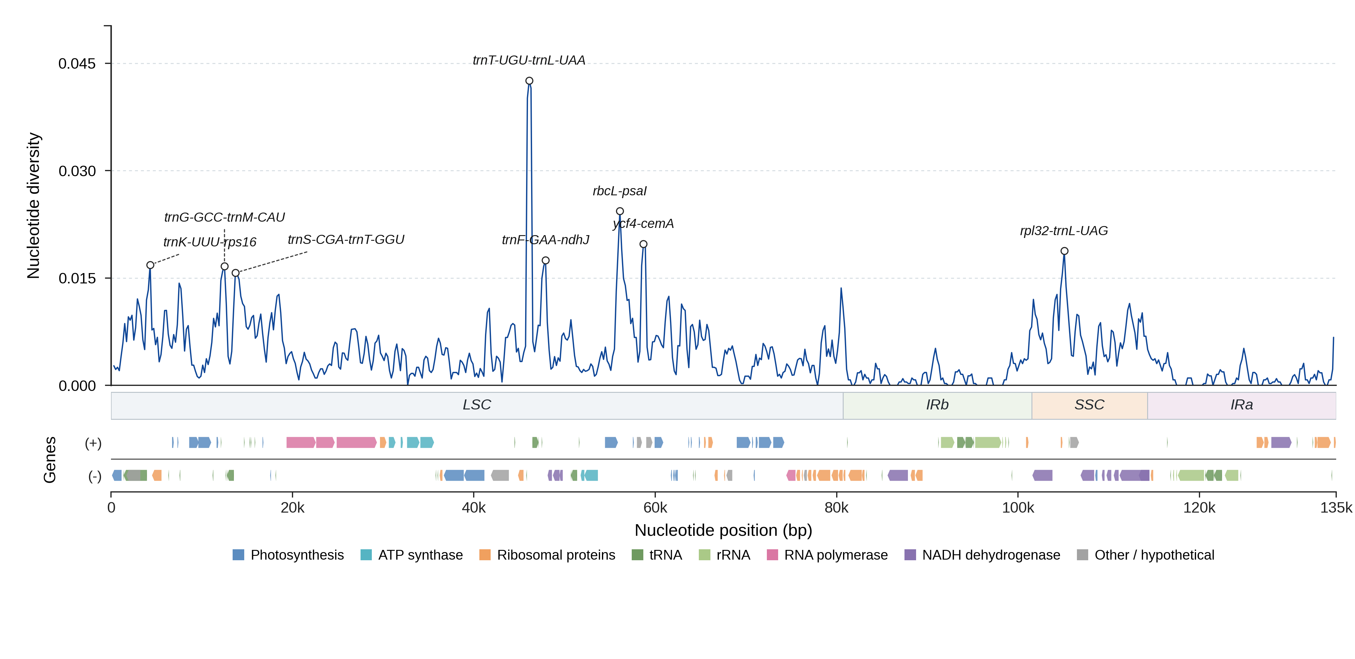 Sliding-window nucleotide diversity
