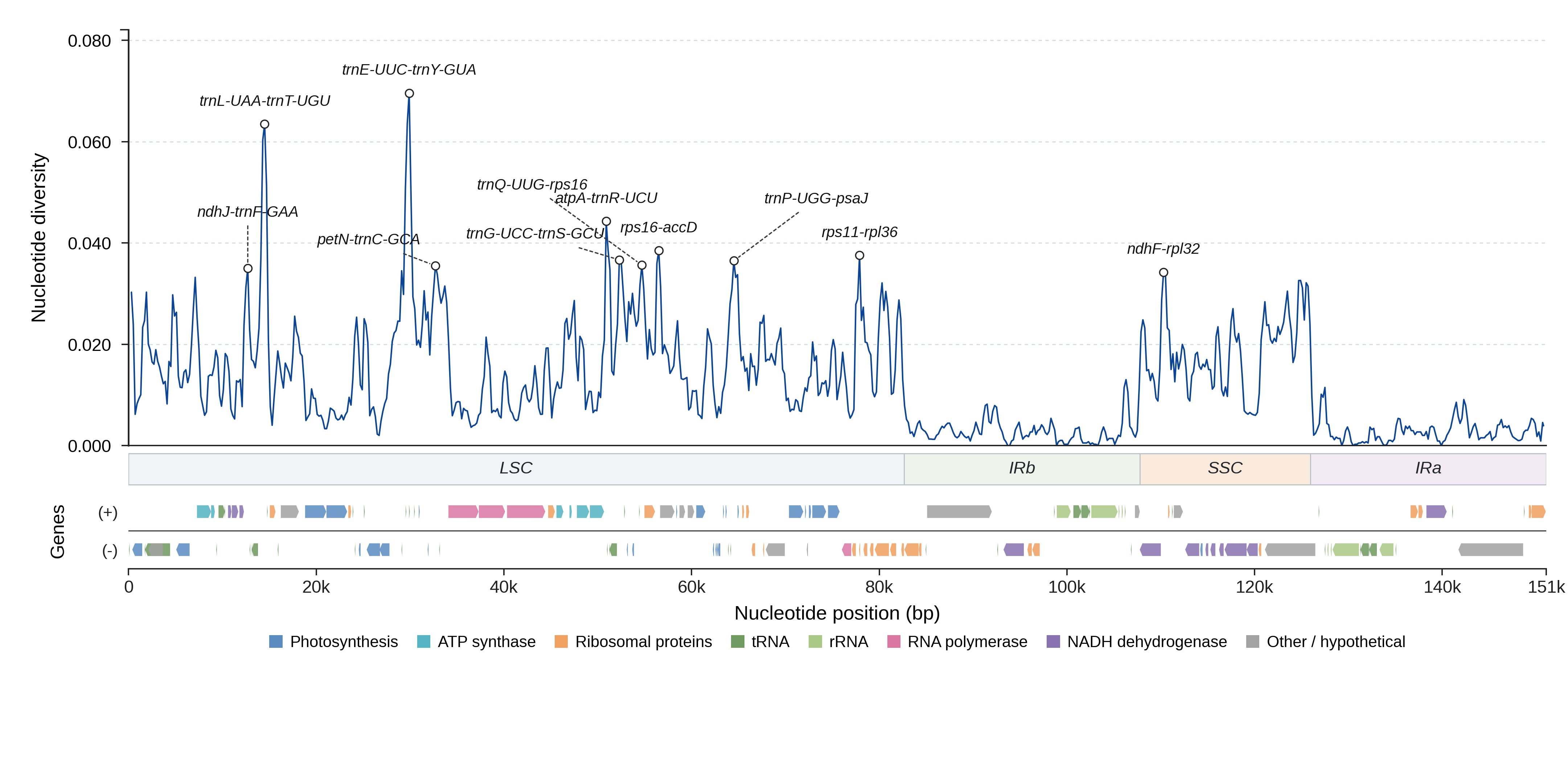 Sliding-window nucleotide diversity