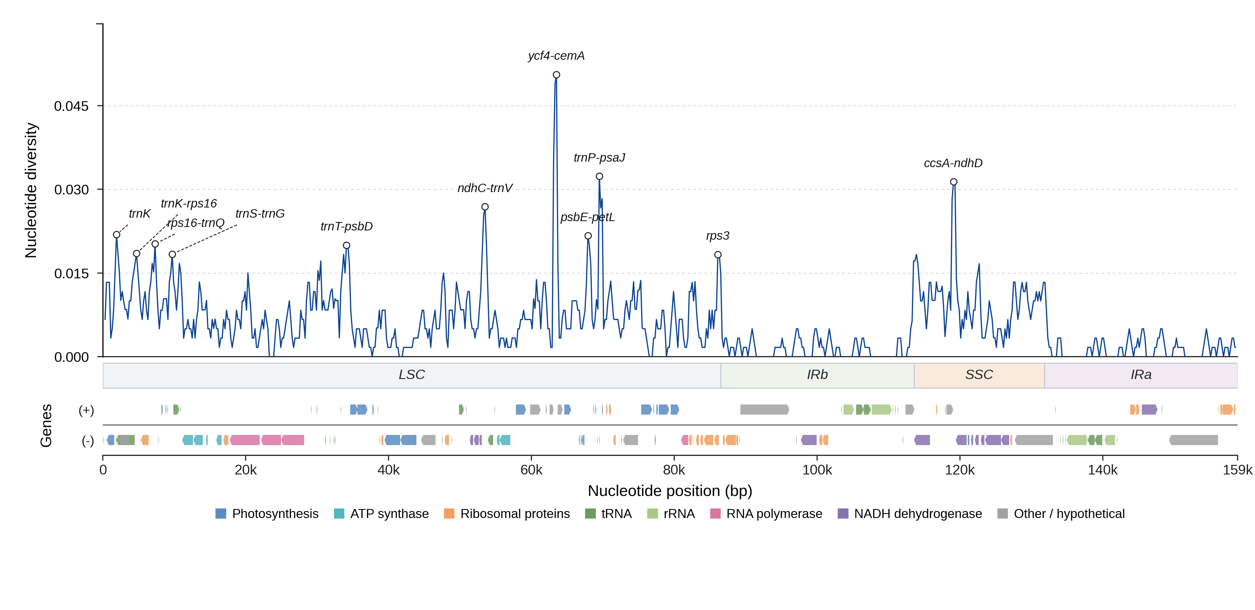 Sliding-window nucleotide diversity