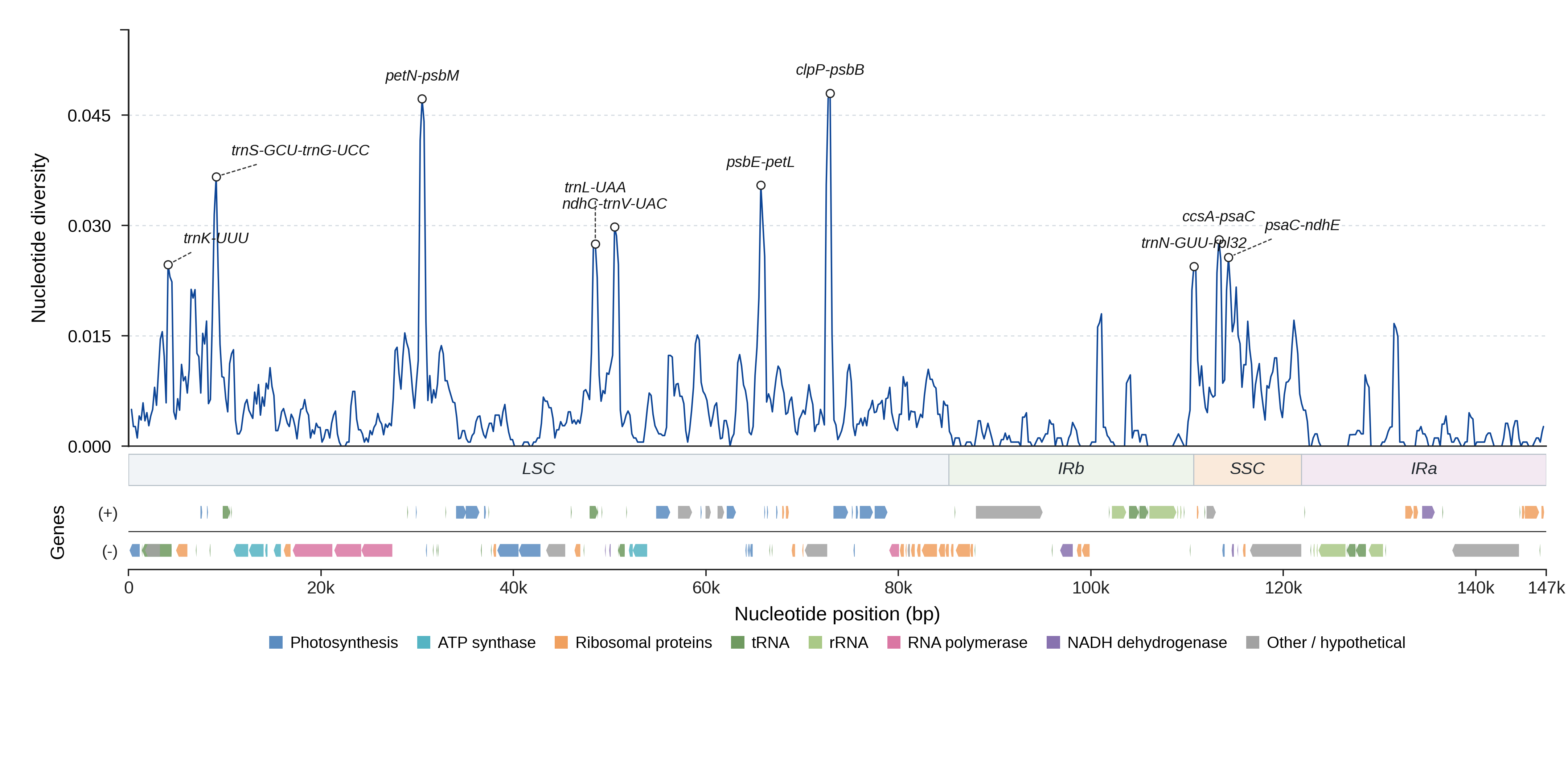 Sliding-window nucleotide diversity