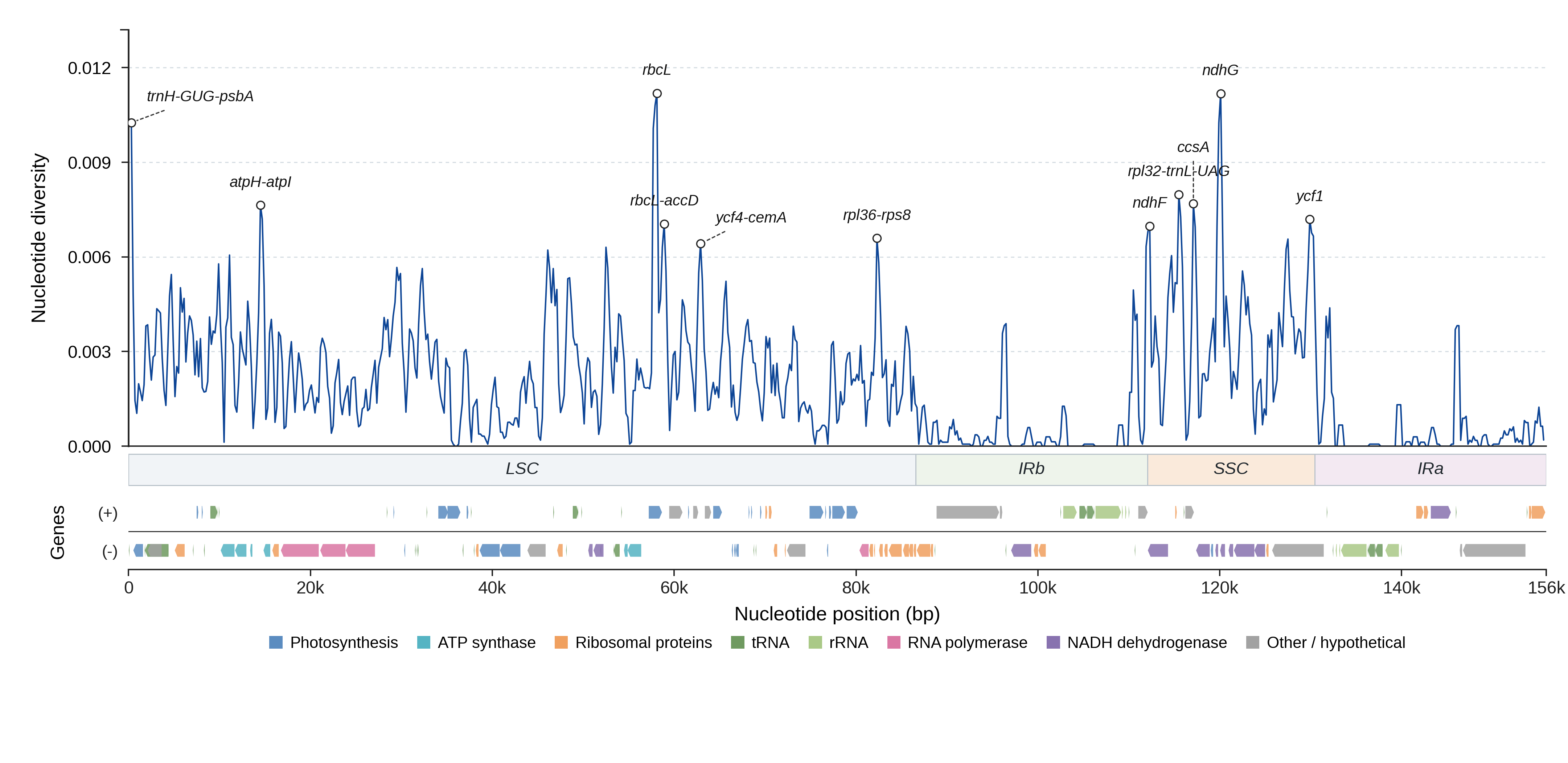 Sliding-window nucleotide diversity