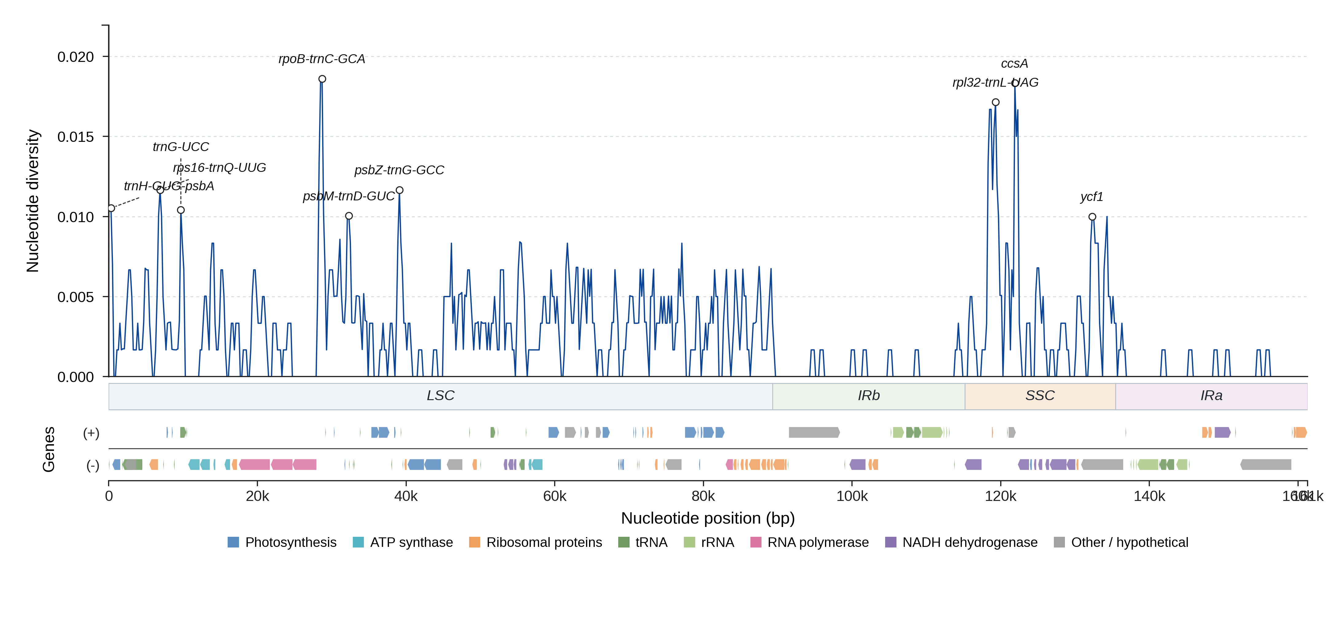 Sliding-window nucleotide diversity