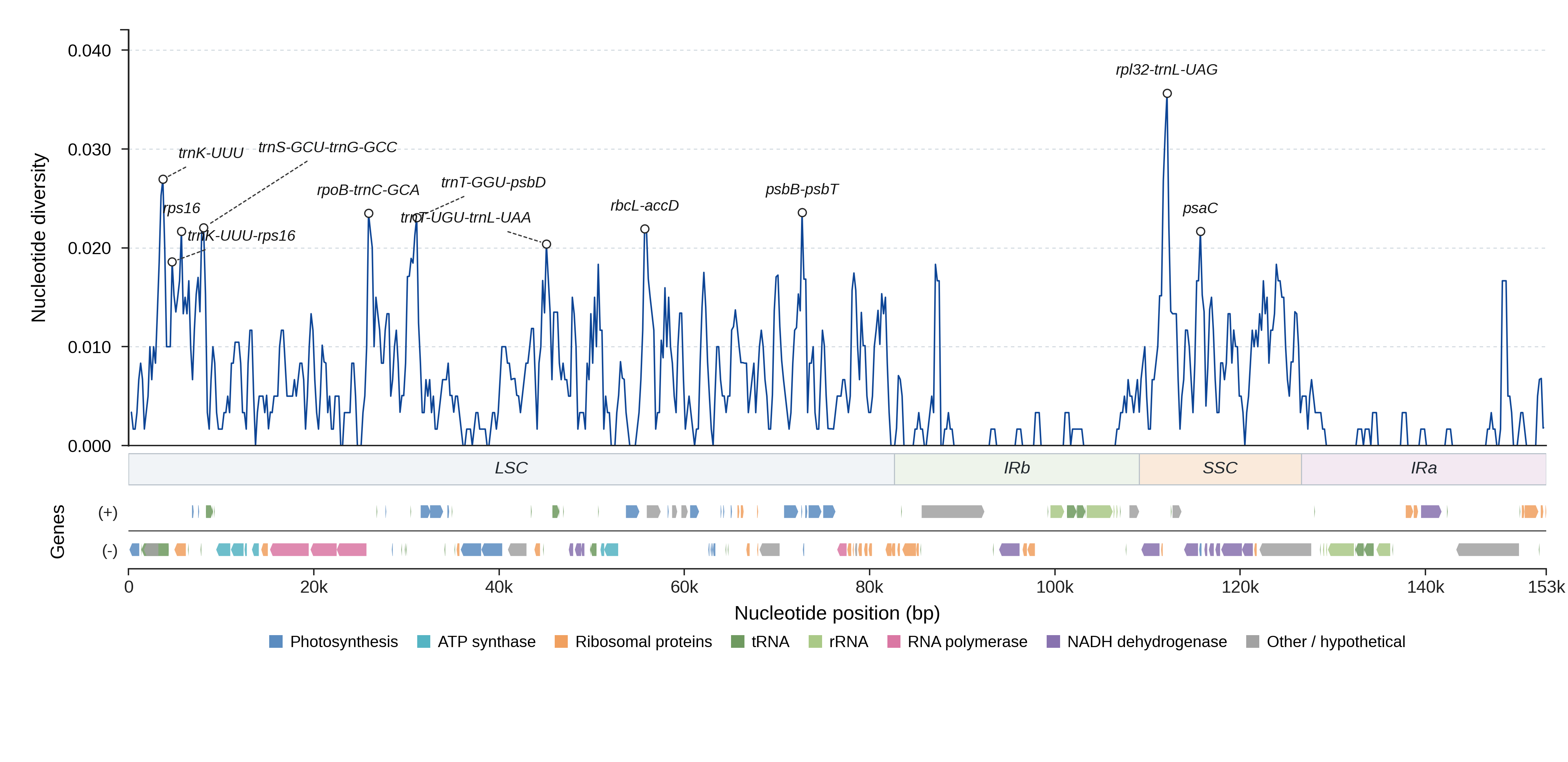 Sliding-window nucleotide diversity