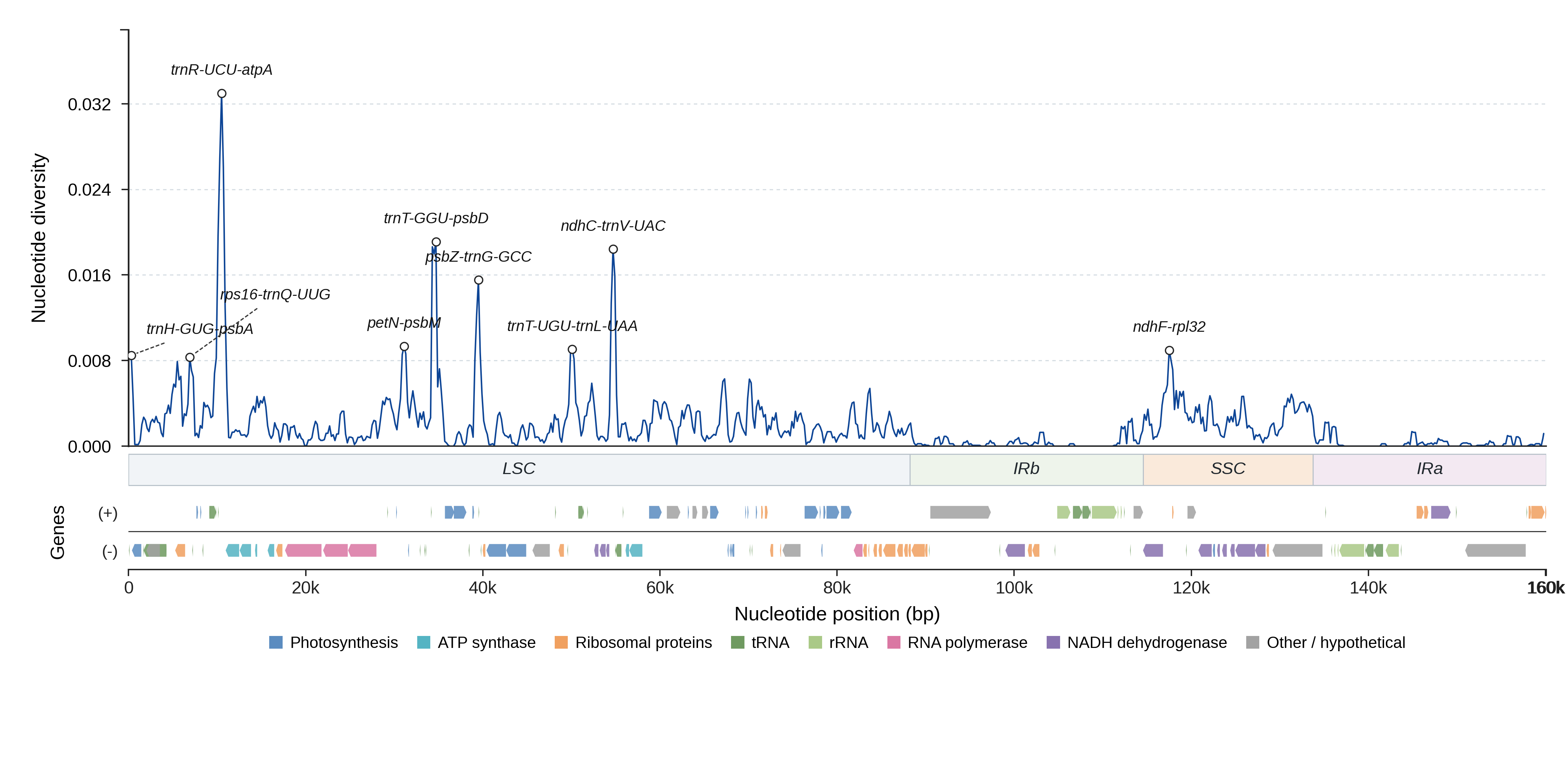 Sliding-window nucleotide diversity