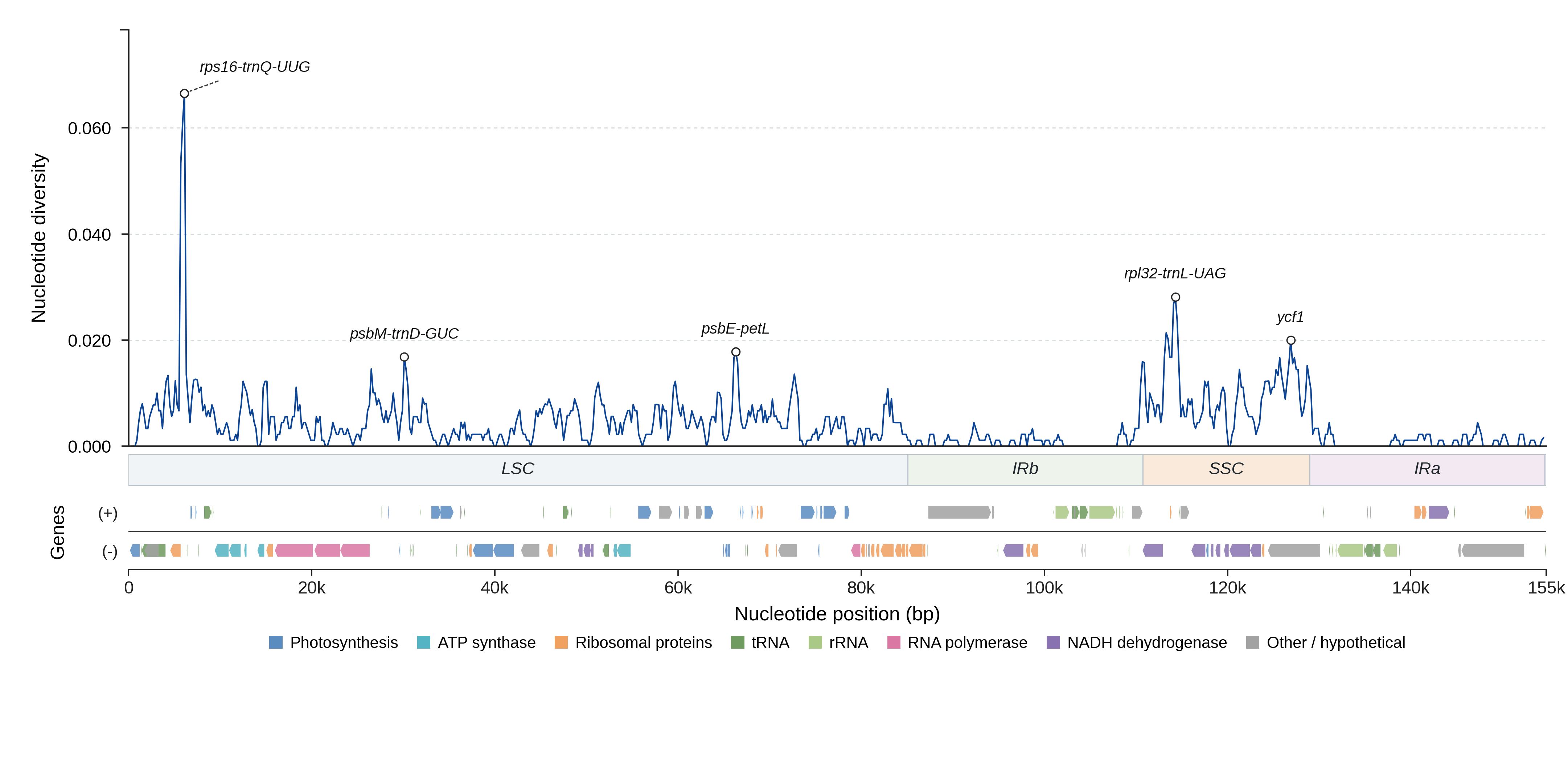 Sliding-window nucleotide diversity