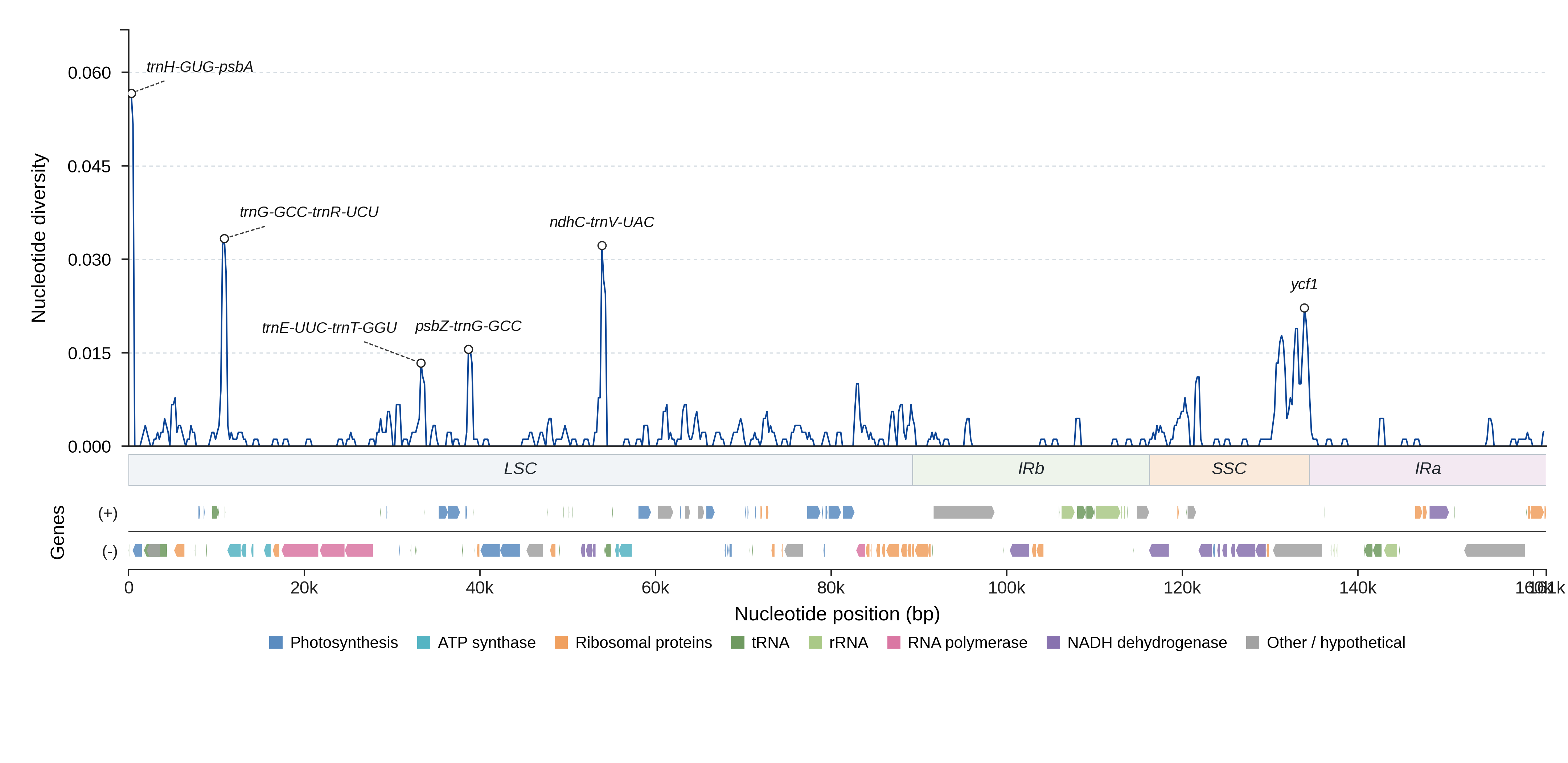 Sliding-window nucleotide diversity