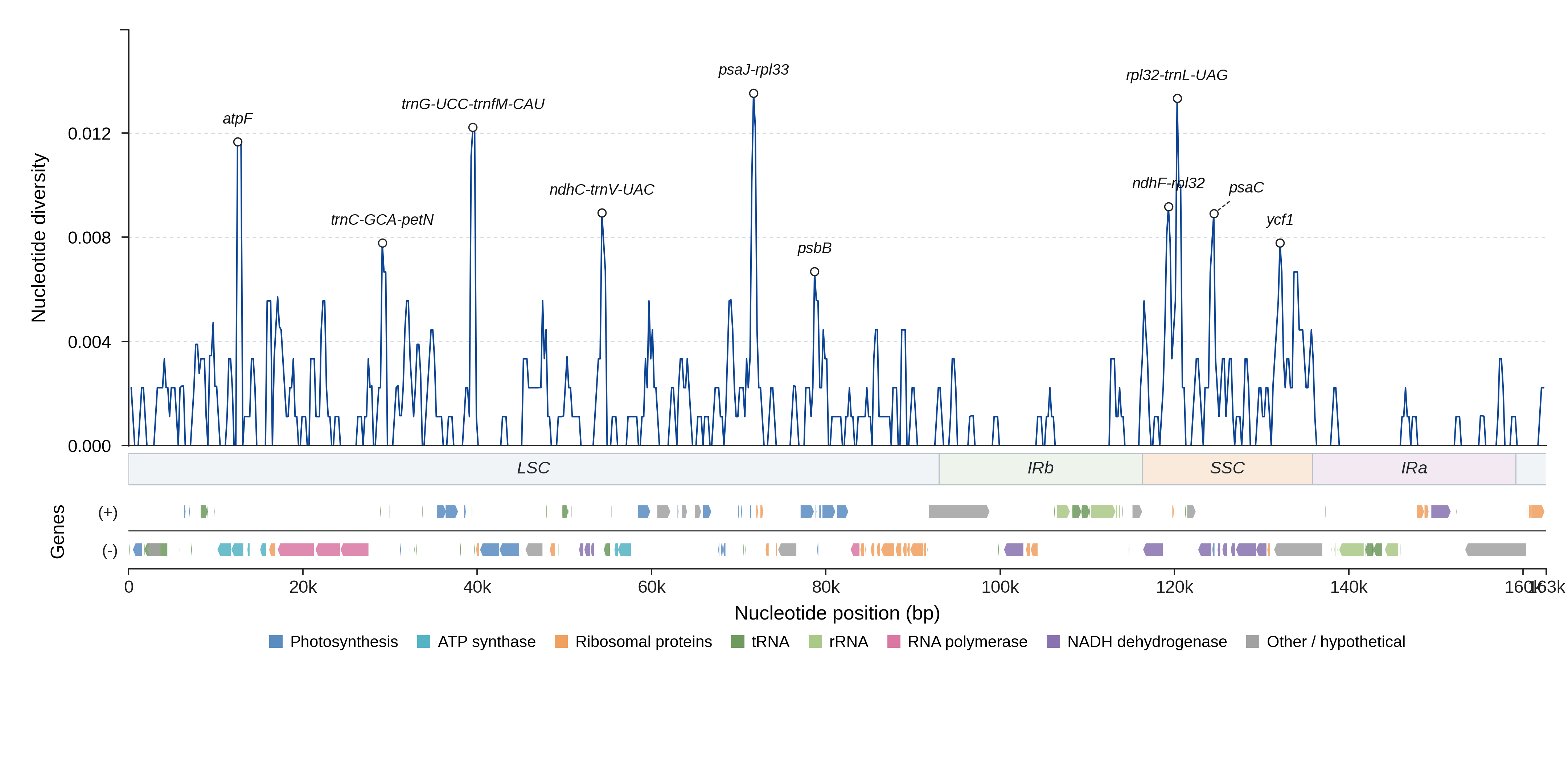 Sliding-window nucleotide diversity