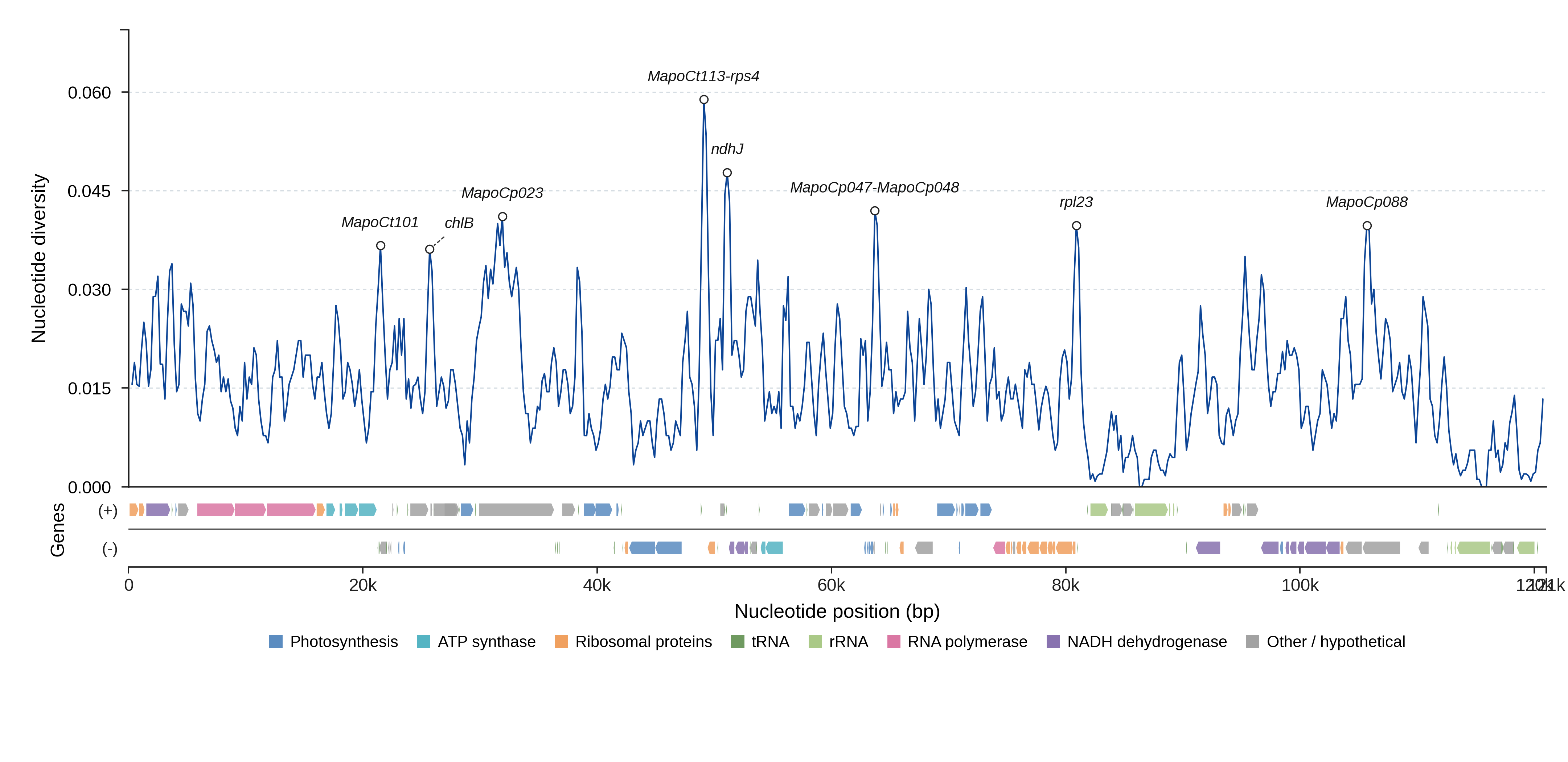 Sliding-window nucleotide diversity