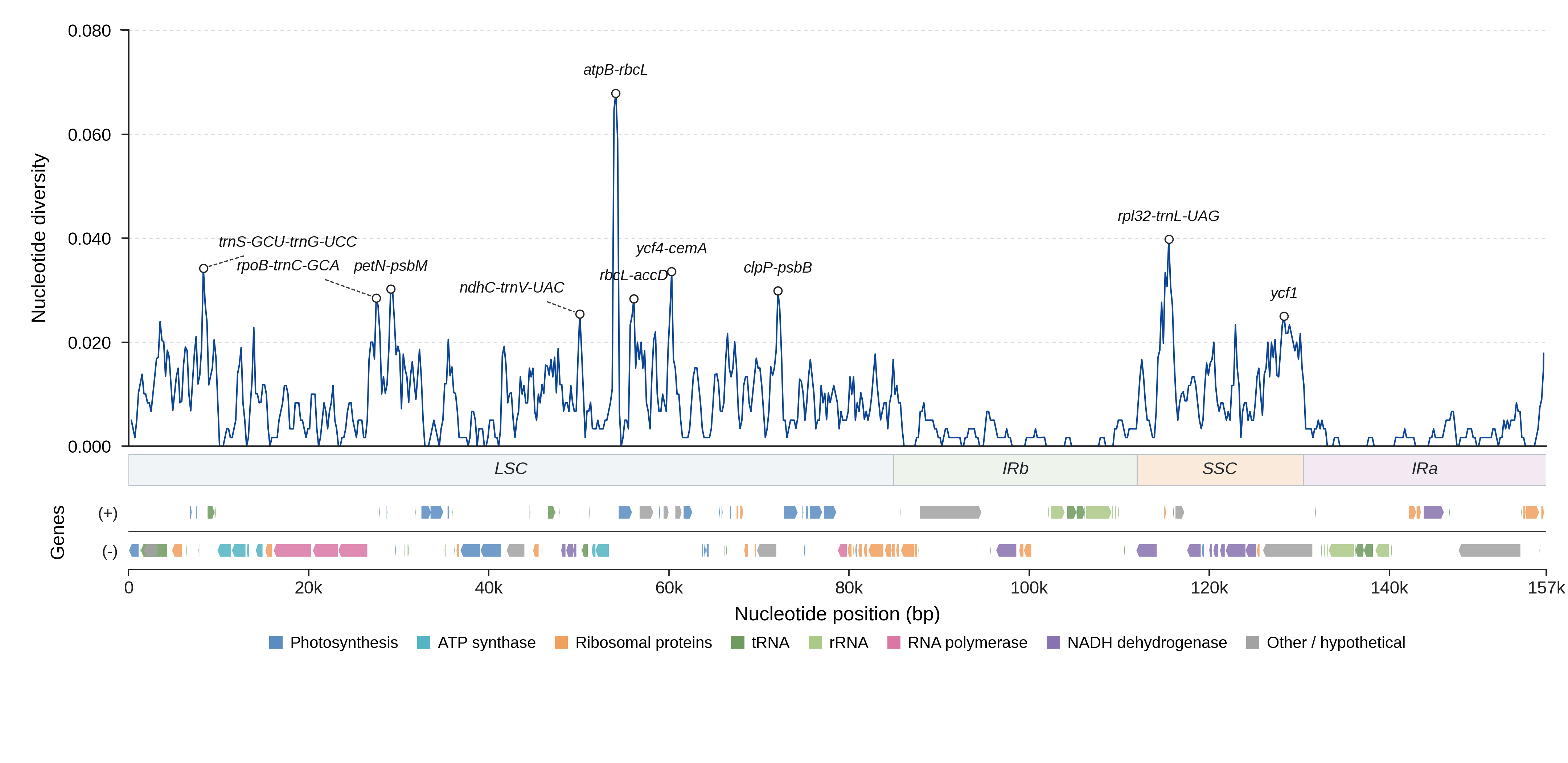 Sliding-window nucleotide diversity