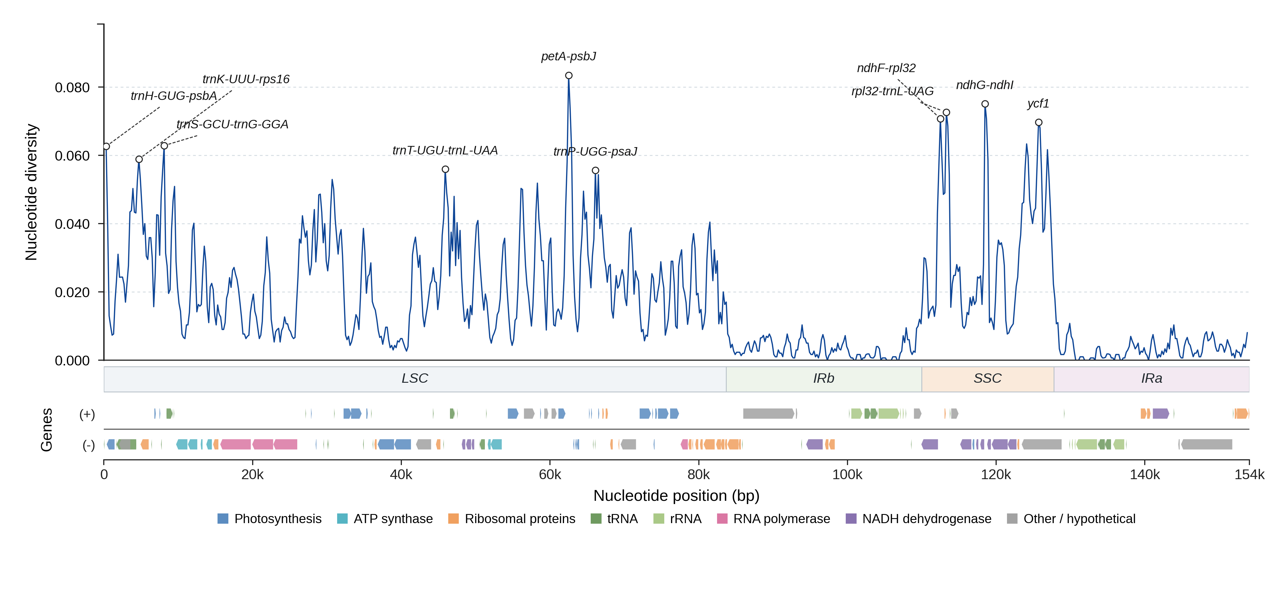 Sliding-window nucleotide diversity
