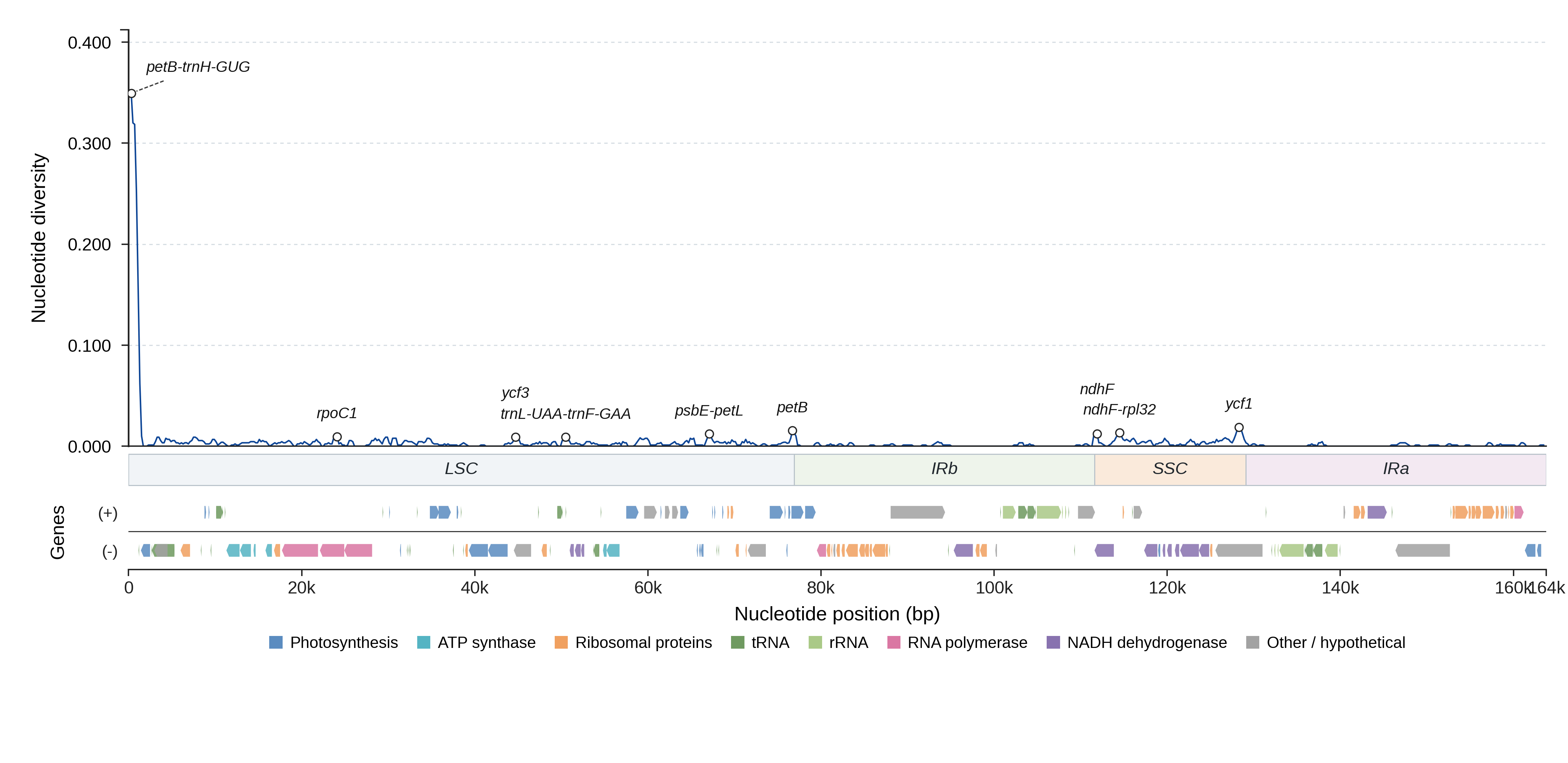 Sliding-window nucleotide diversity