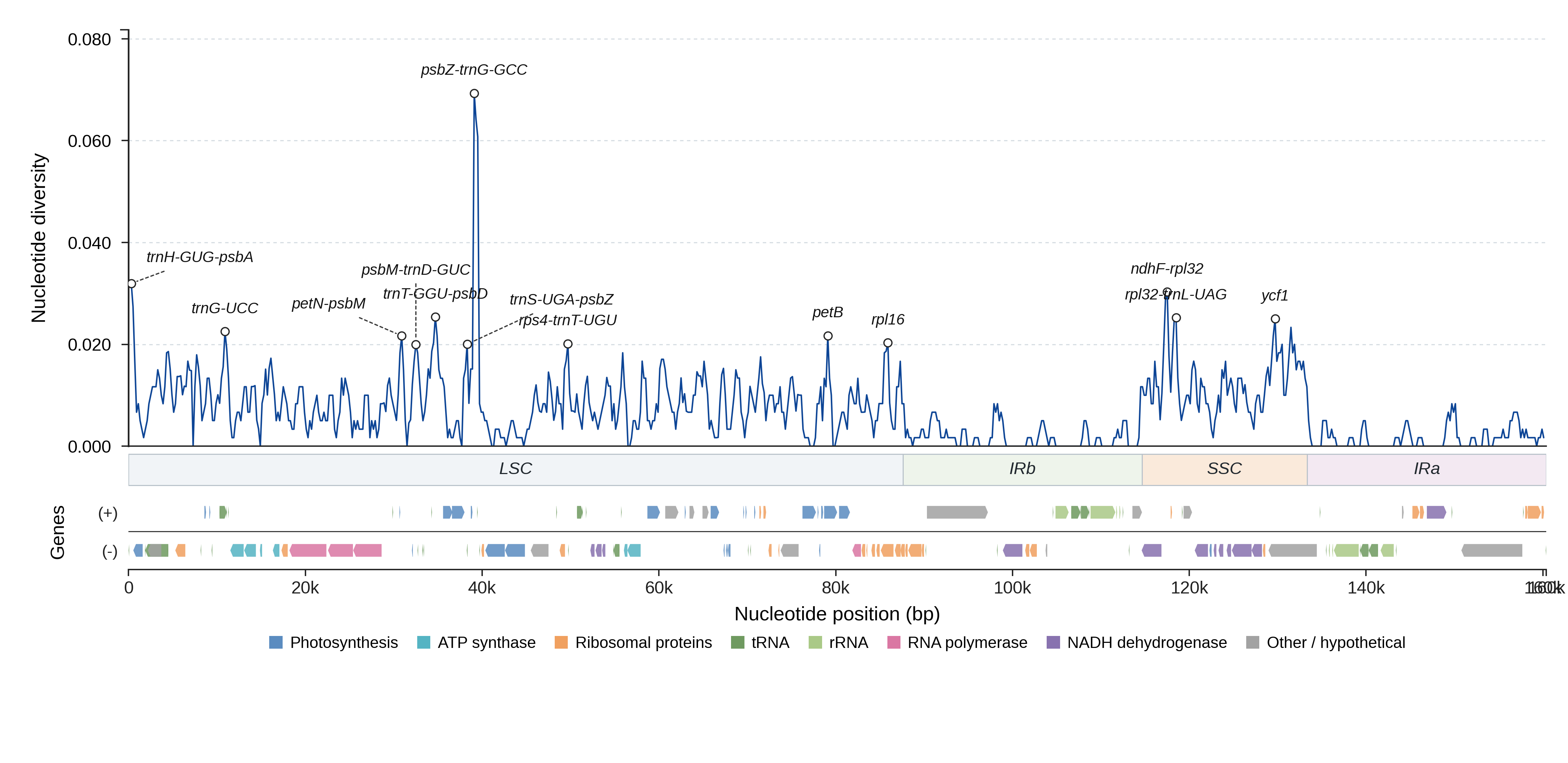 Sliding-window nucleotide diversity