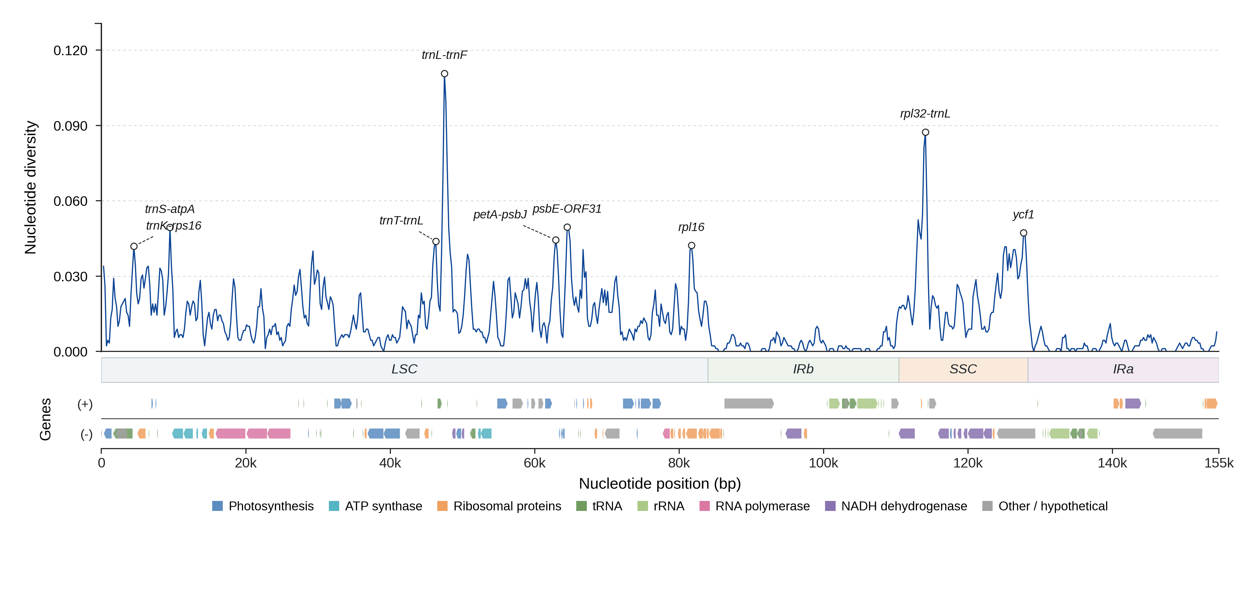 Sliding-window nucleotide diversity