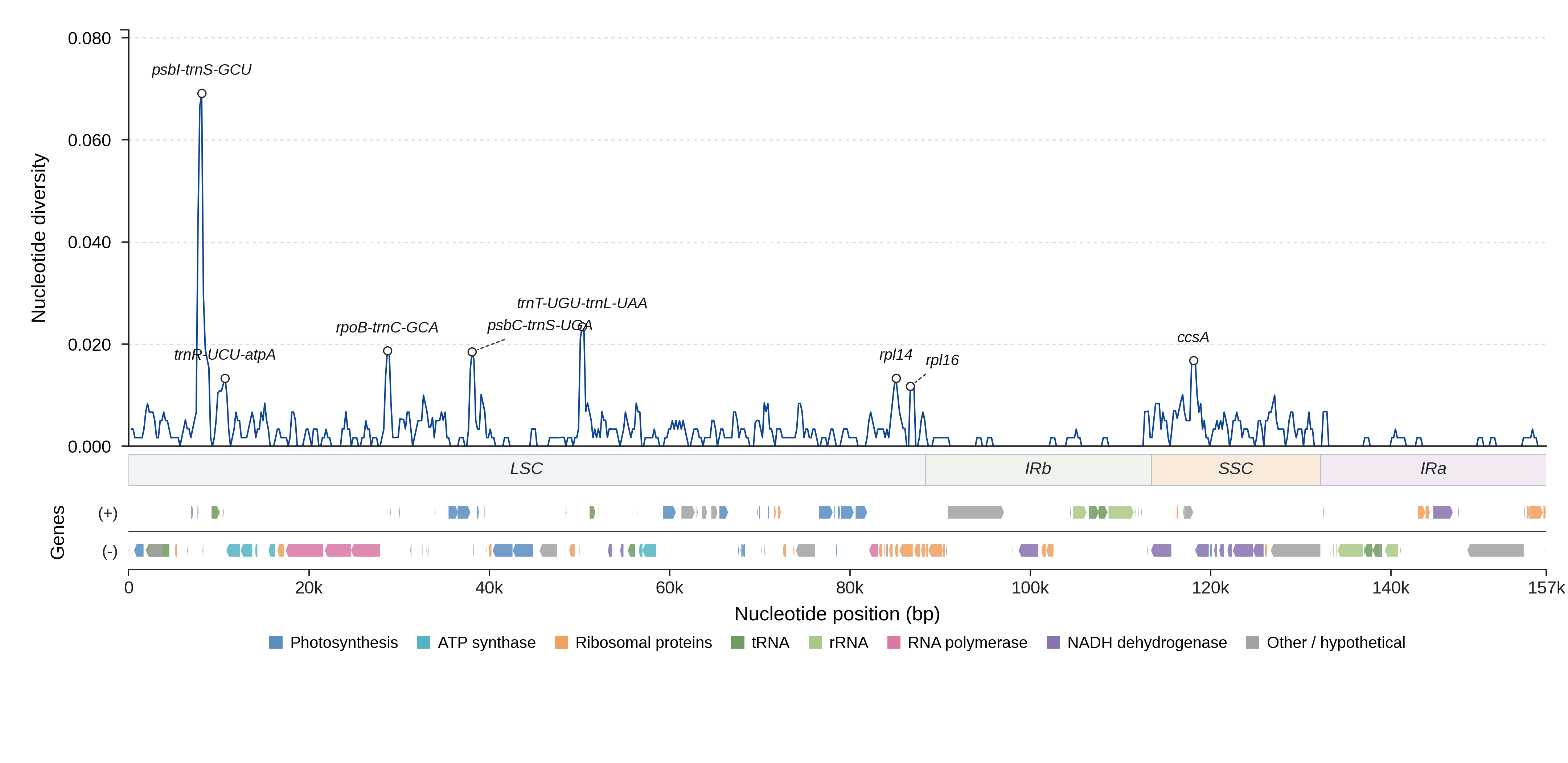 Sliding-window nucleotide diversity