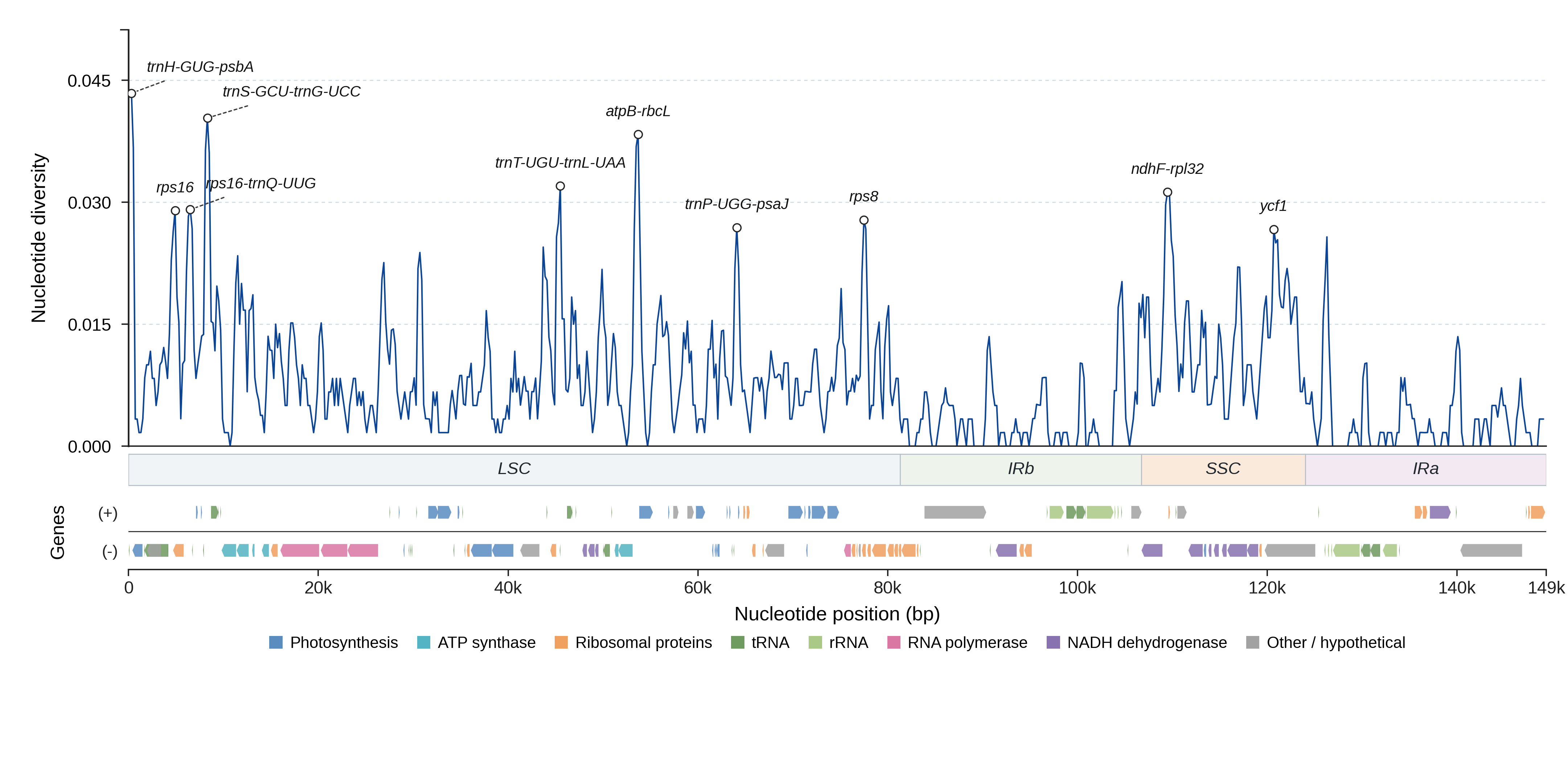 Sliding-window nucleotide diversity