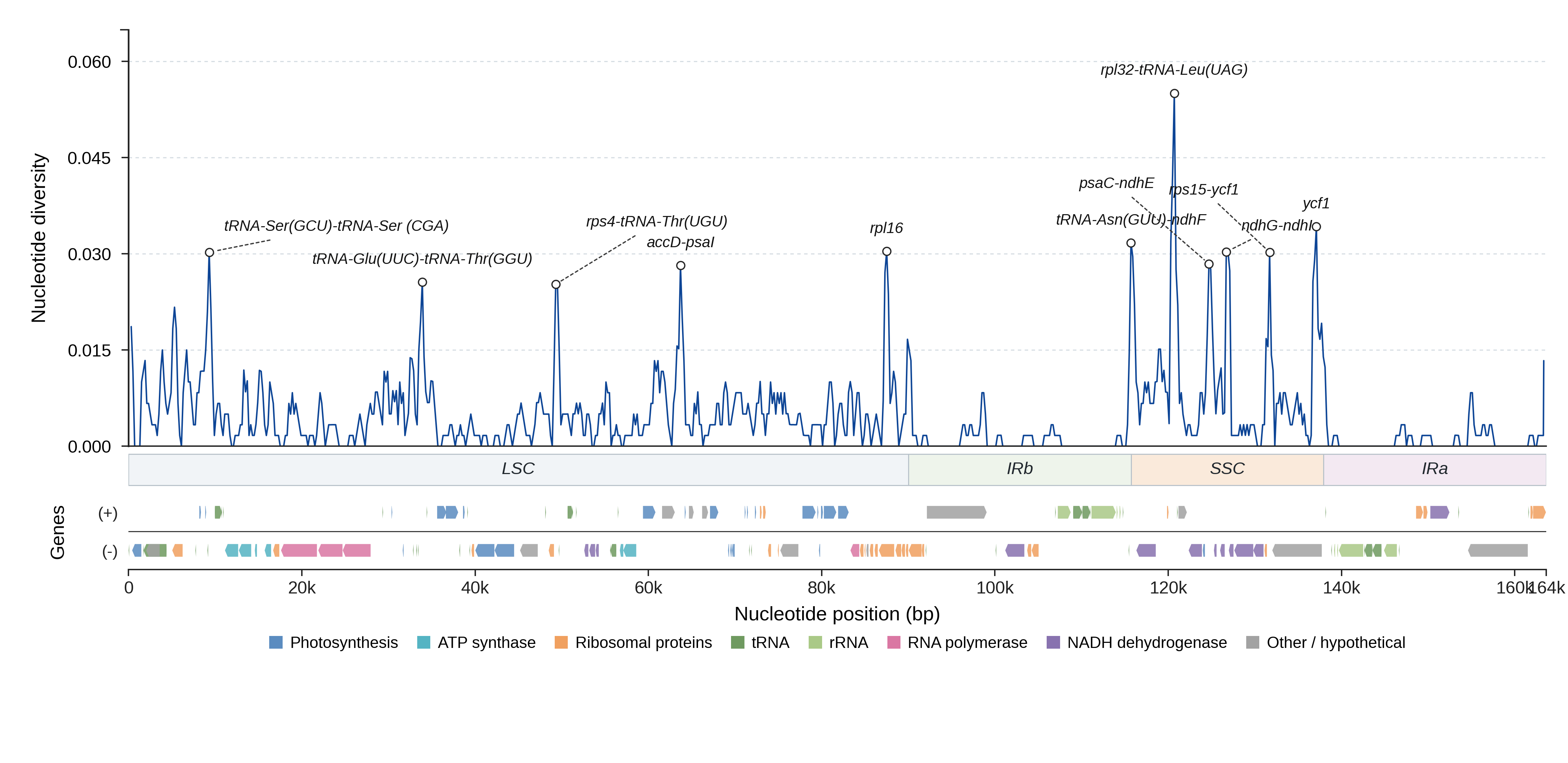 Sliding-window nucleotide diversity