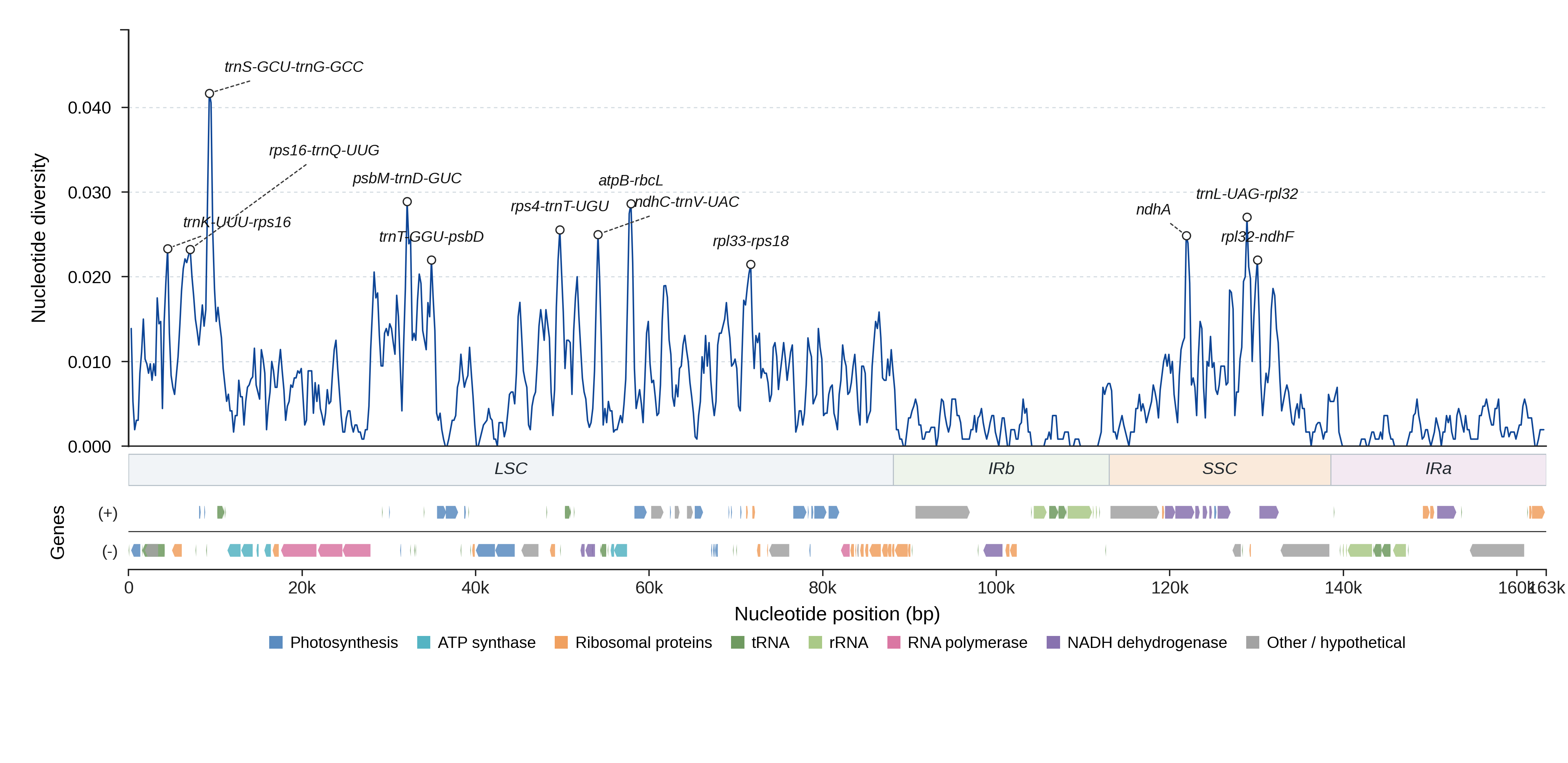 Sliding-window nucleotide diversity