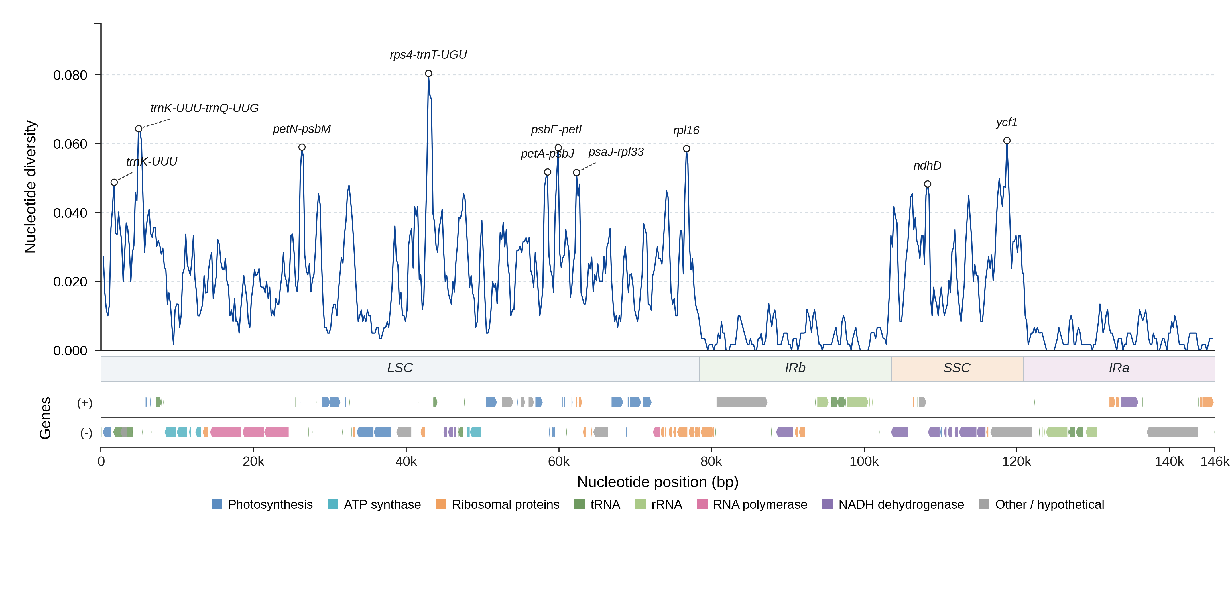 Sliding-window nucleotide diversity