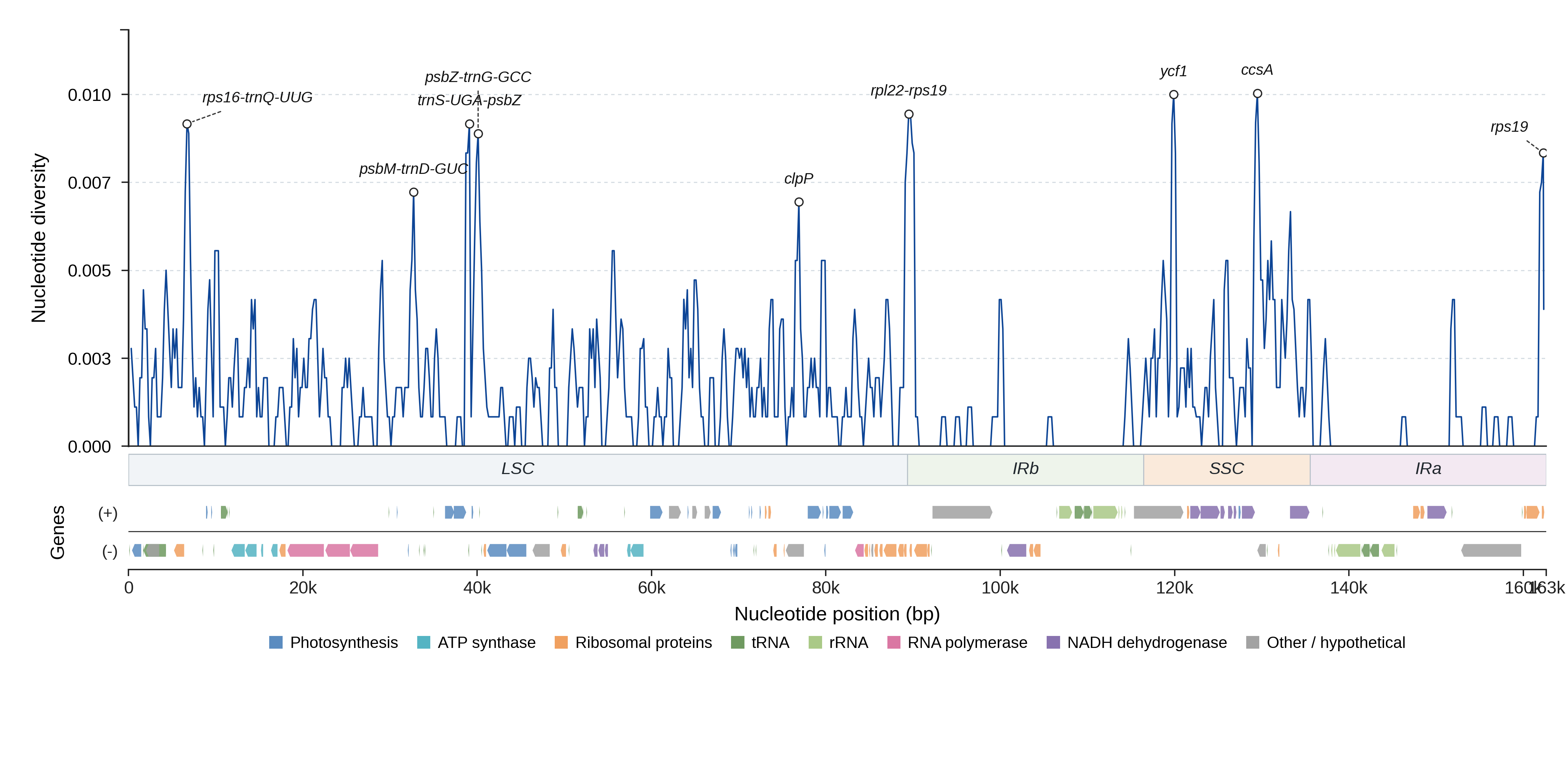 Sliding-window nucleotide diversity