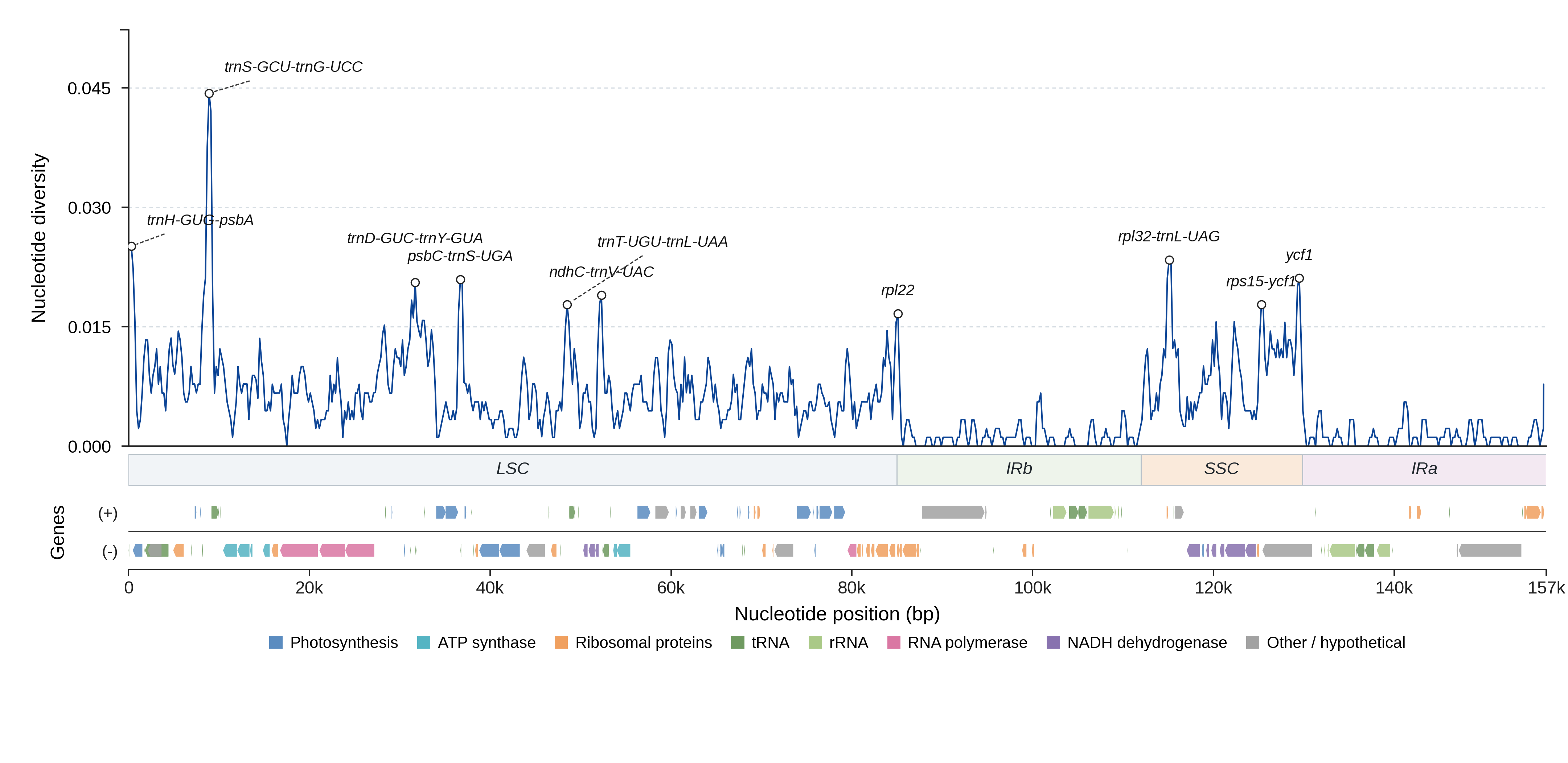 Sliding-window nucleotide diversity