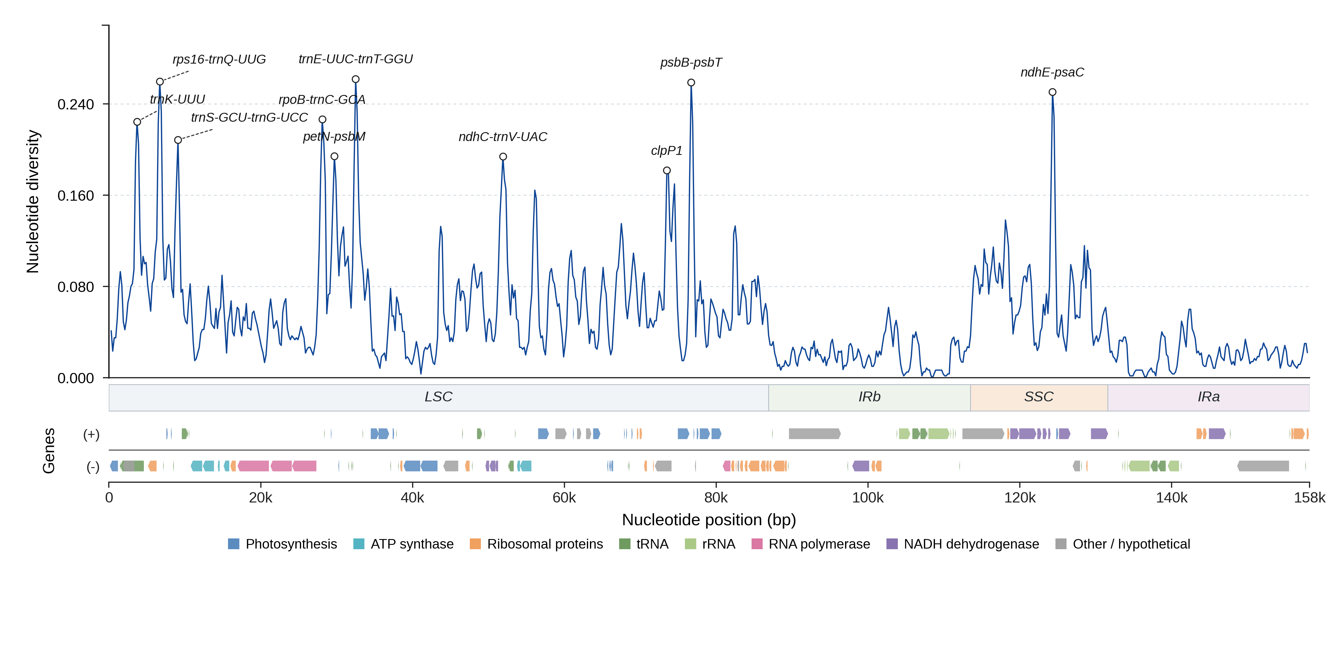 Sliding-window nucleotide diversity