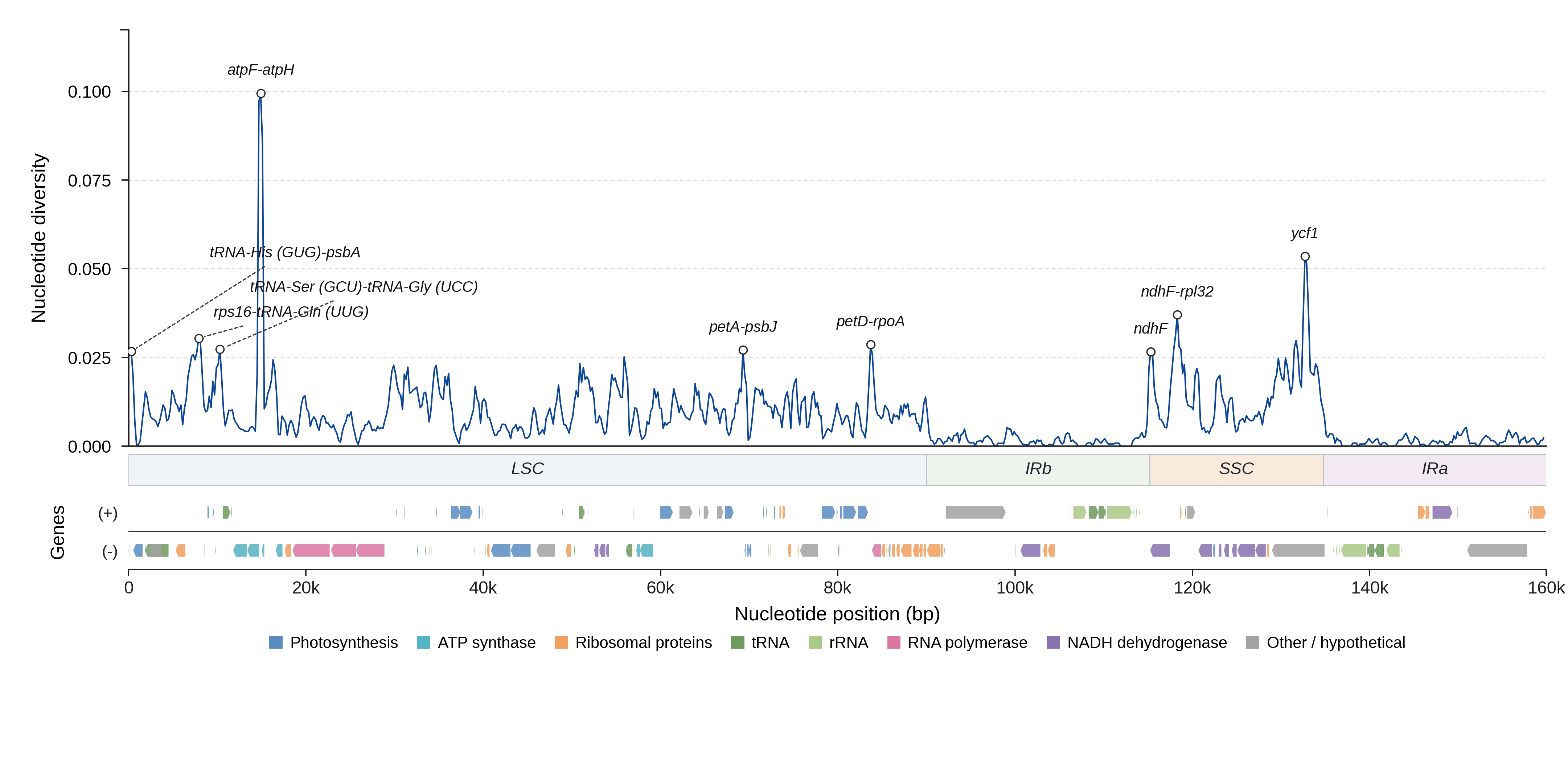 Sliding-window nucleotide diversity