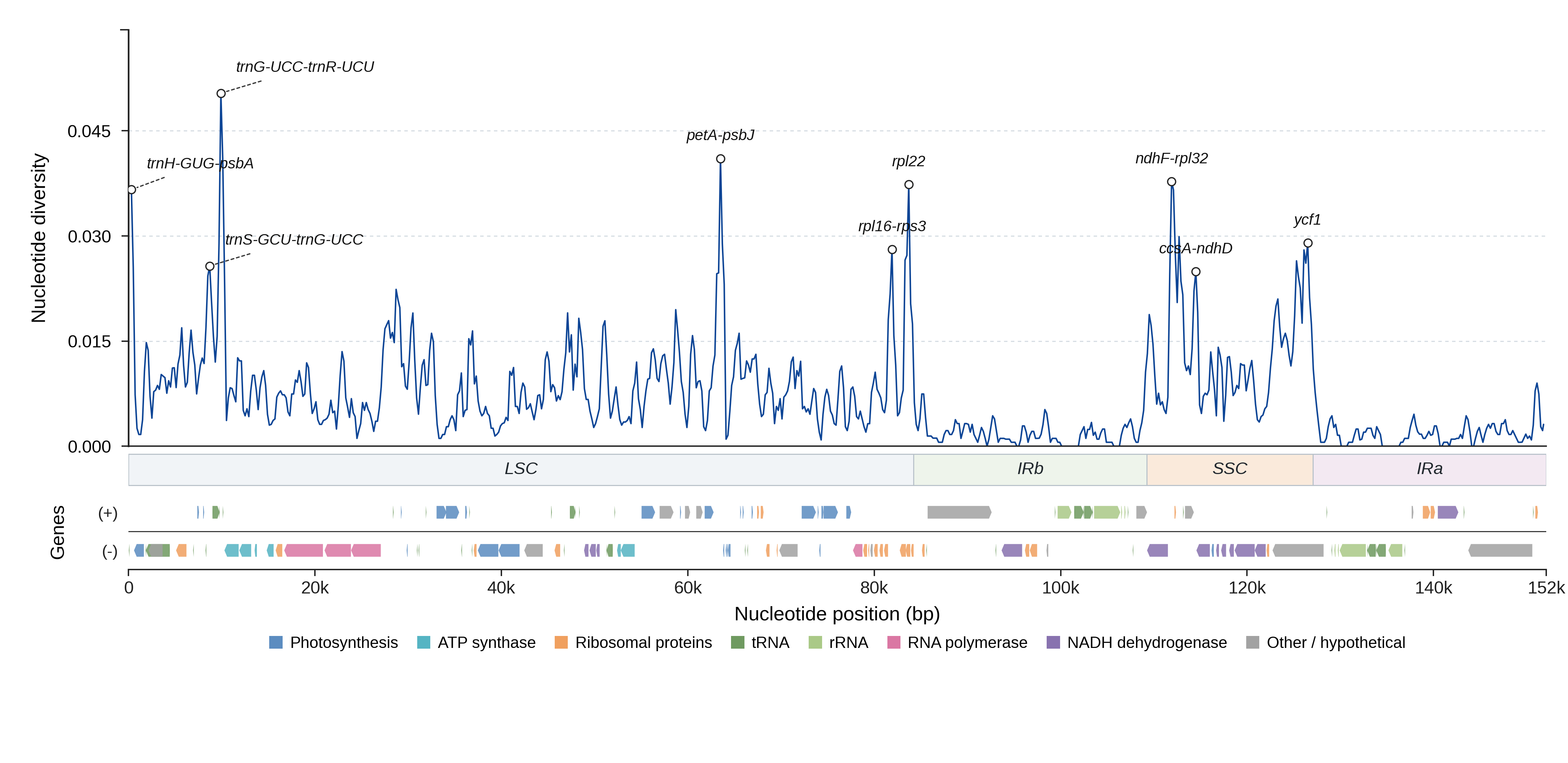 Sliding-window nucleotide diversity