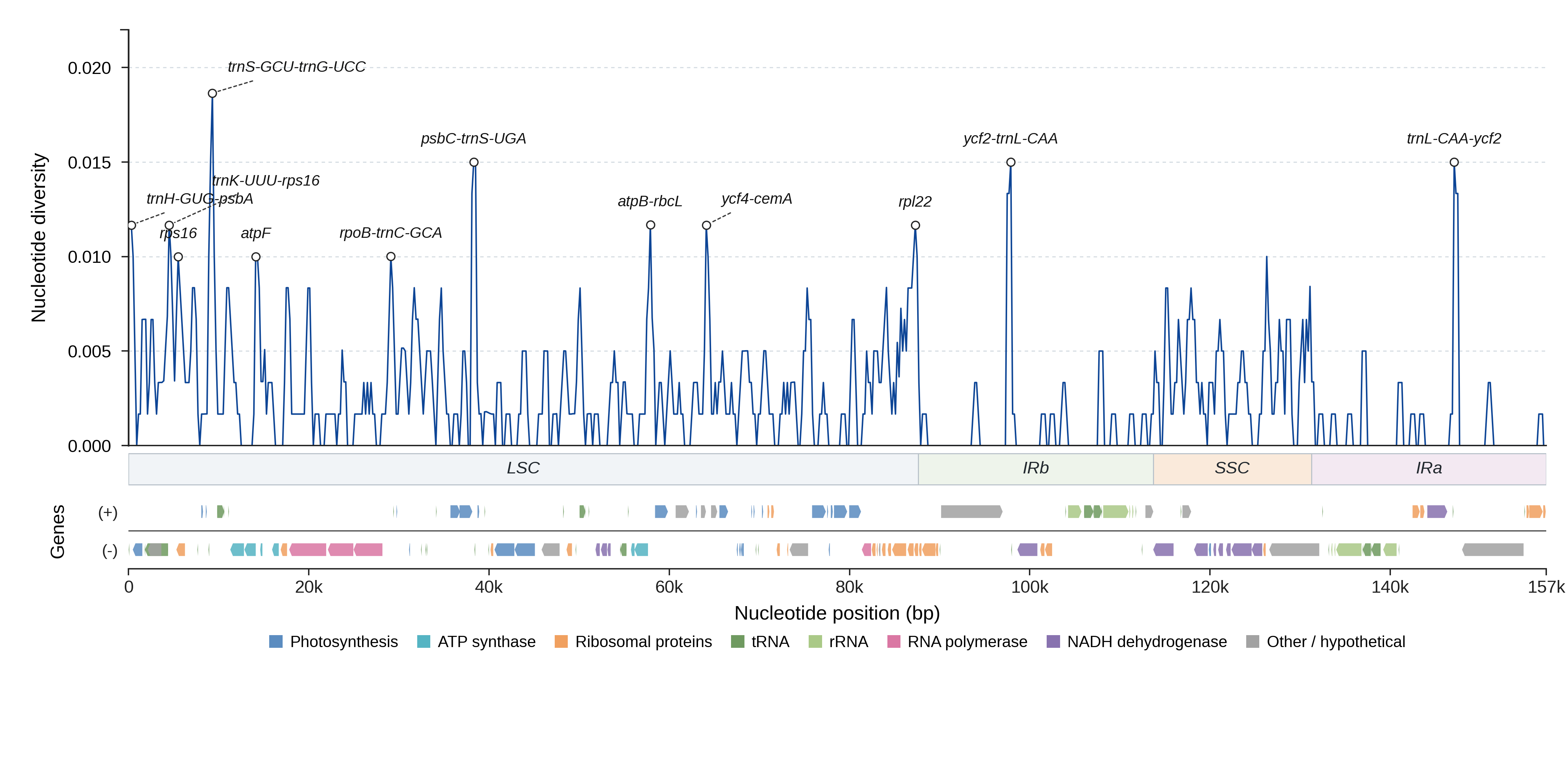 Sliding-window nucleotide diversity