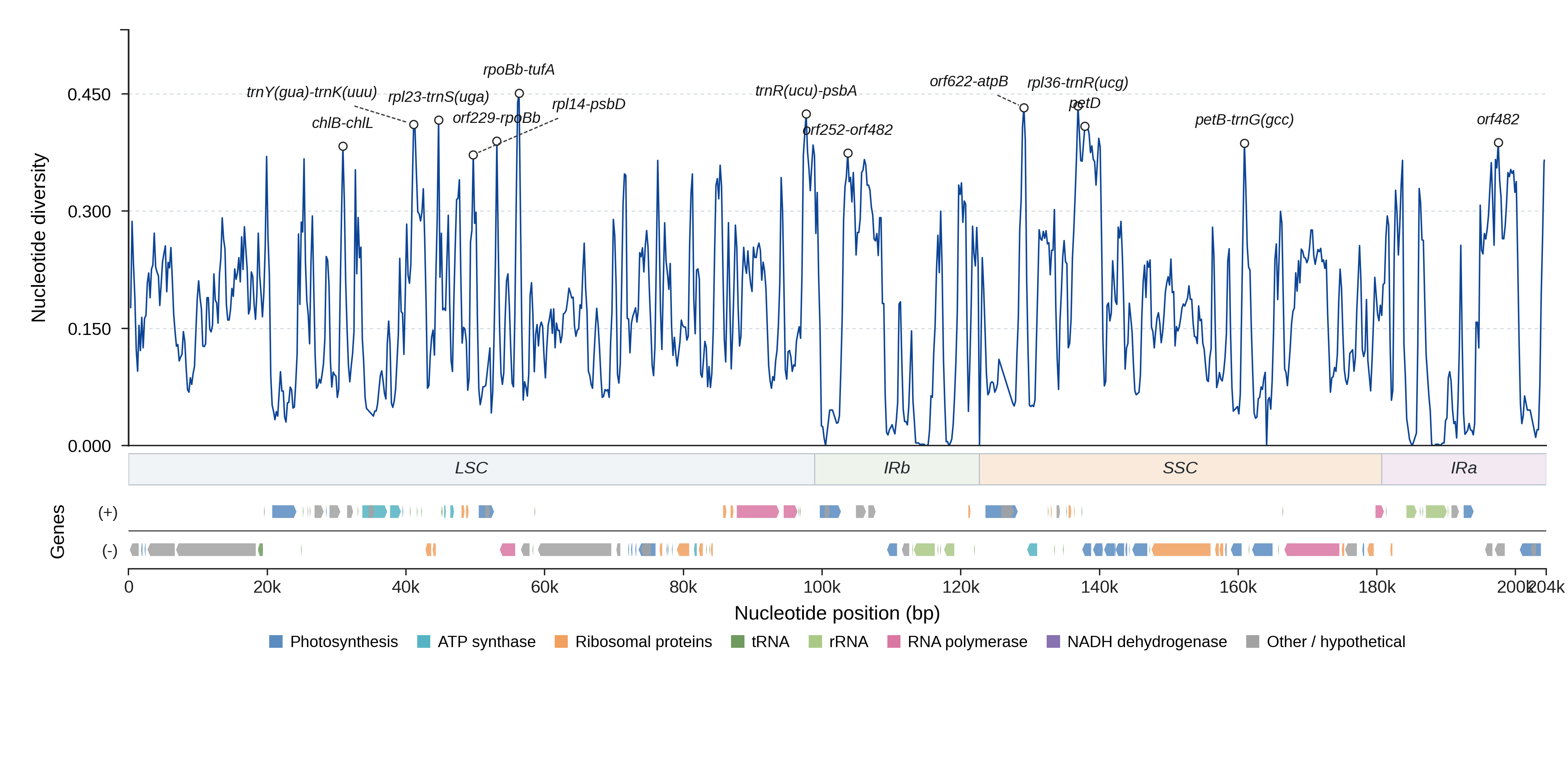 Sliding-window nucleotide diversity
