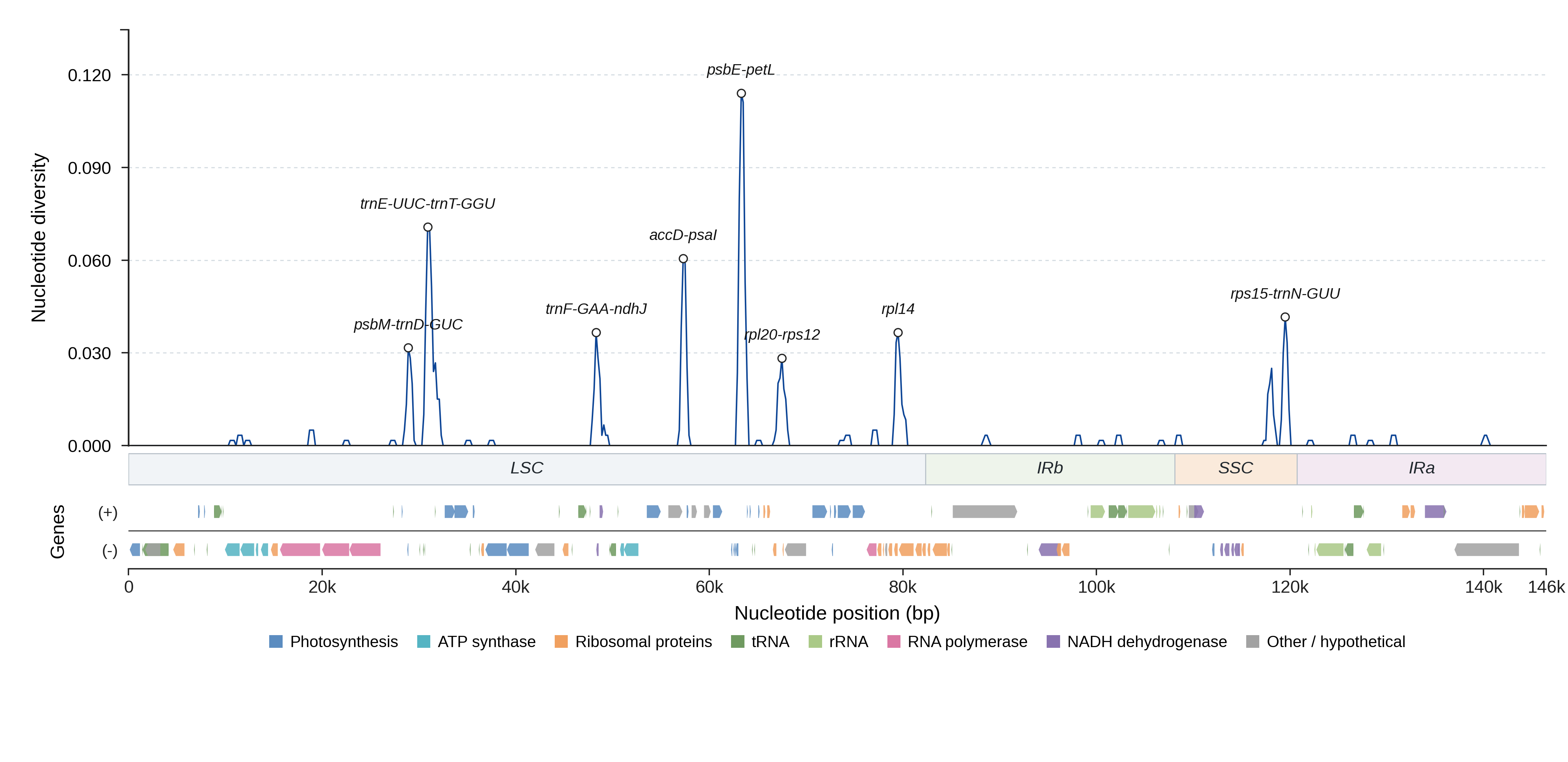 Sliding-window nucleotide diversity