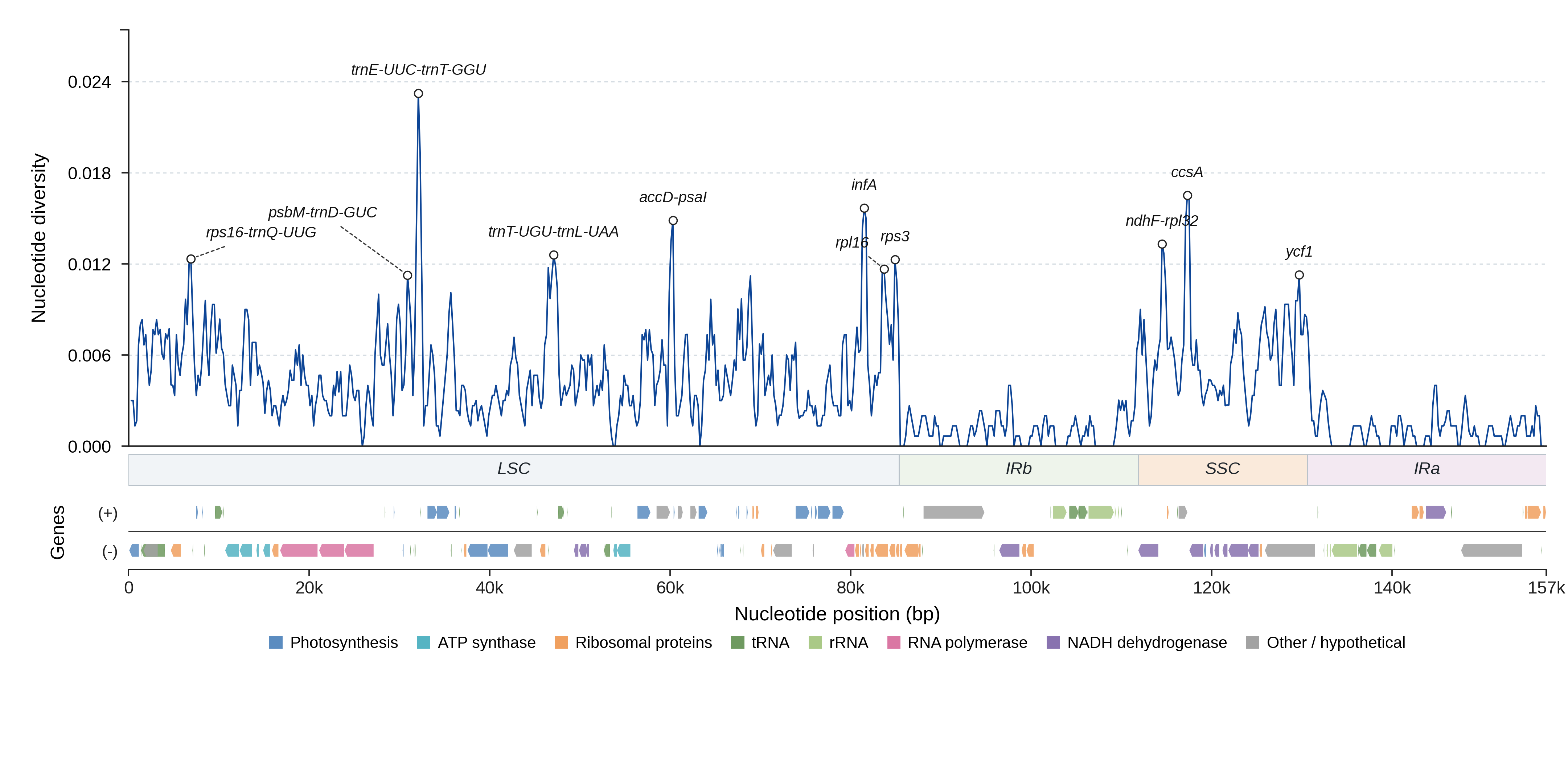 Sliding-window nucleotide diversity