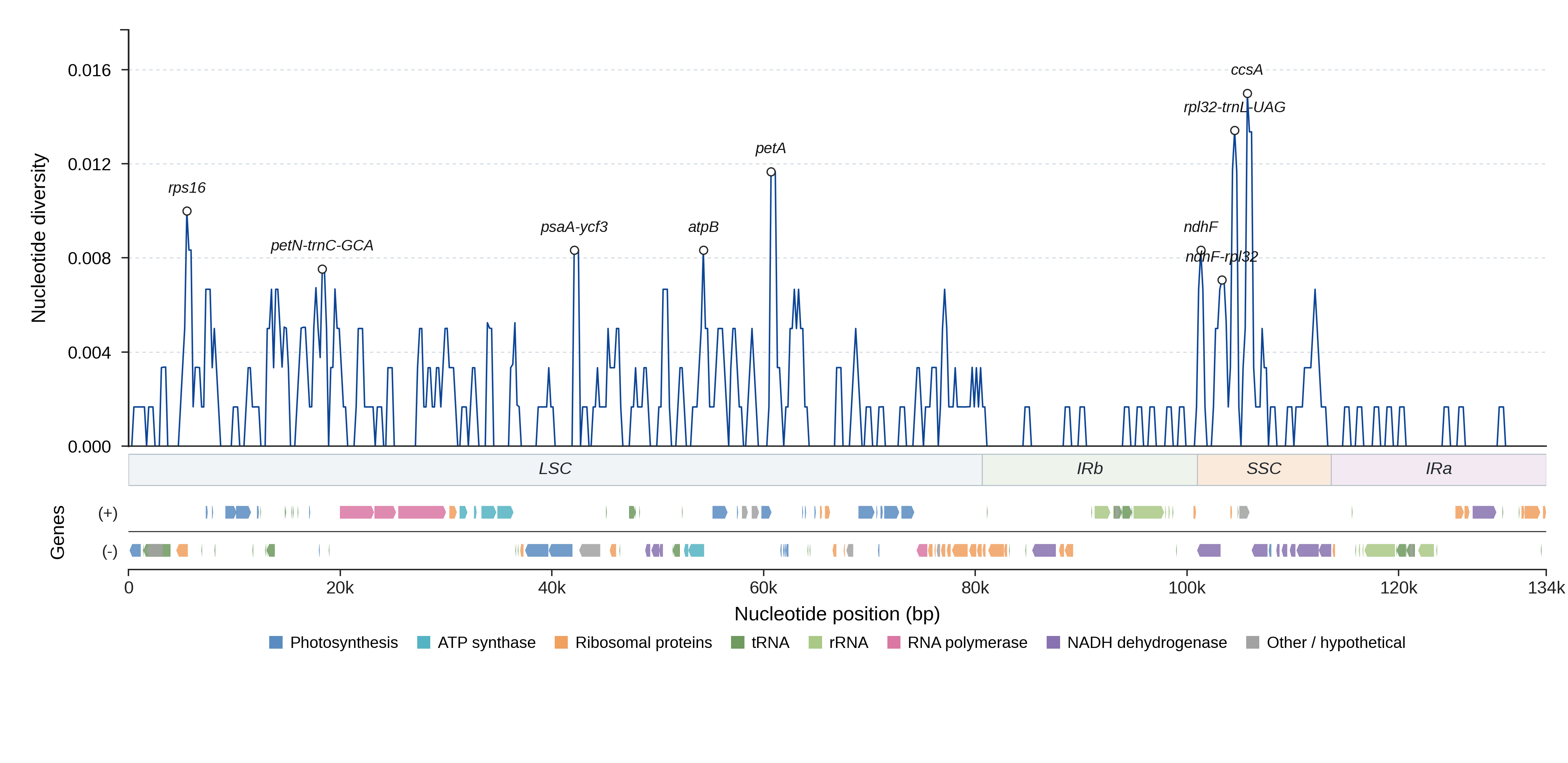 Sliding-window nucleotide diversity