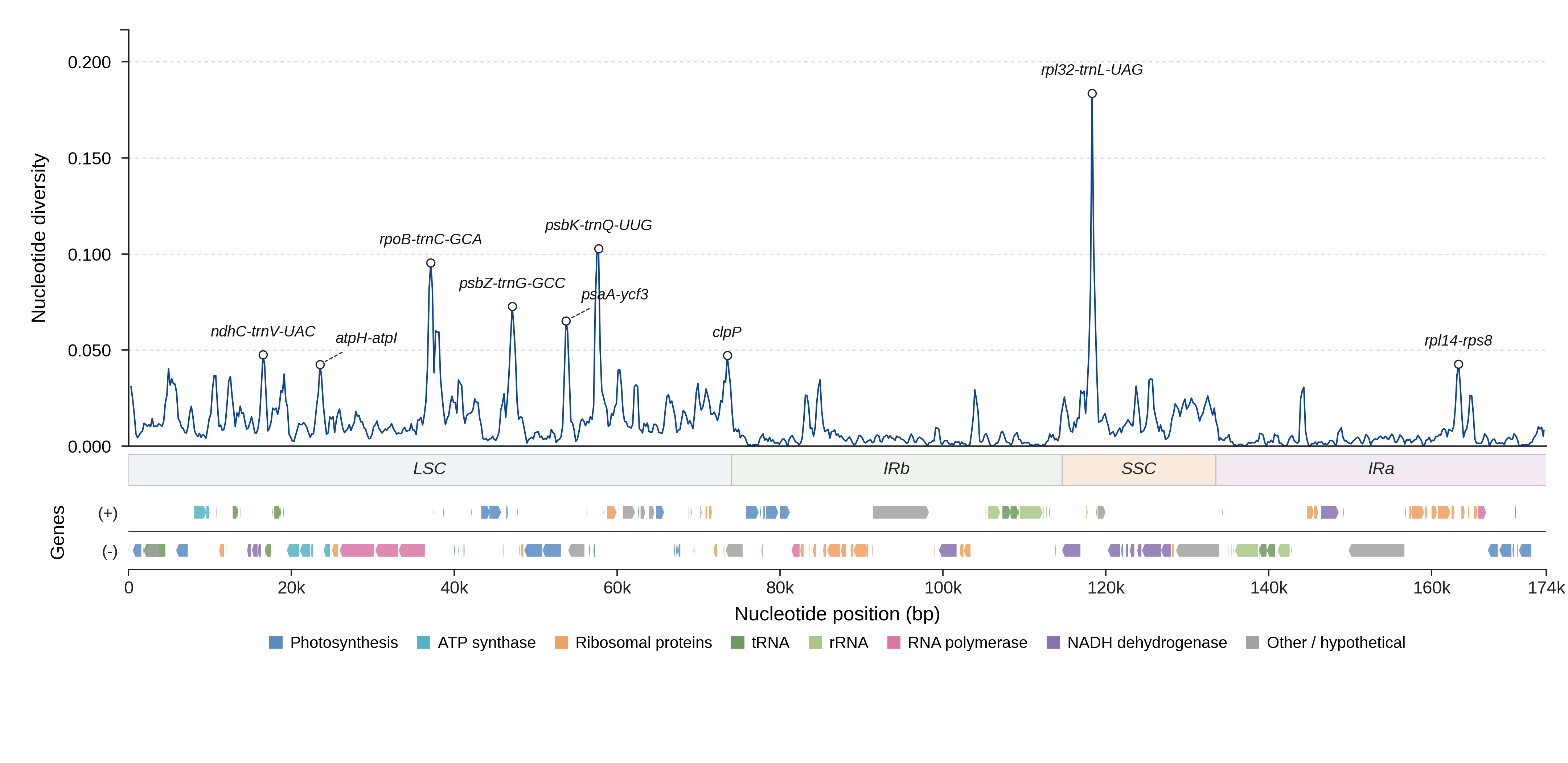 Sliding-window nucleotide diversity