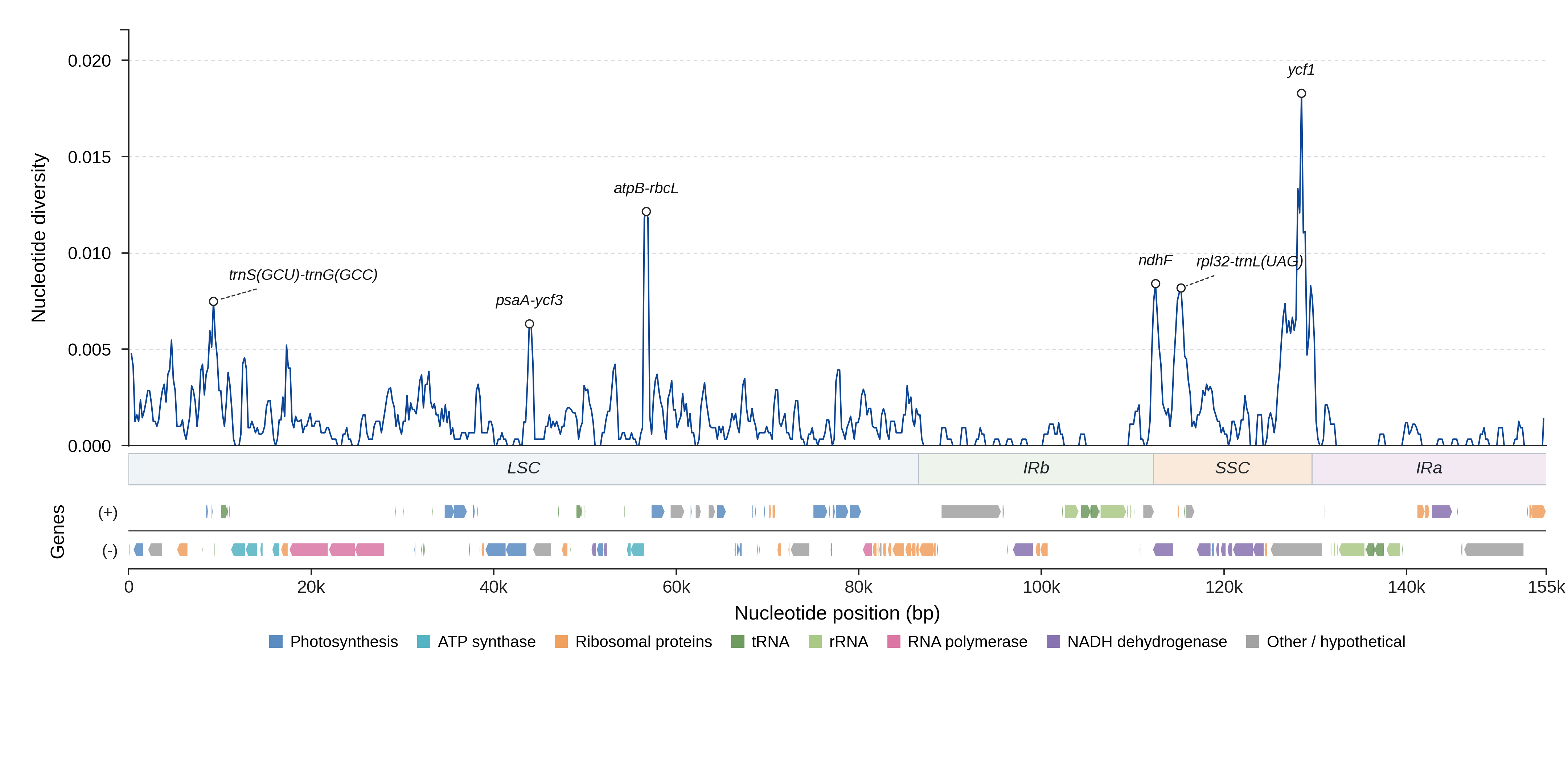 Sliding-window nucleotide diversity