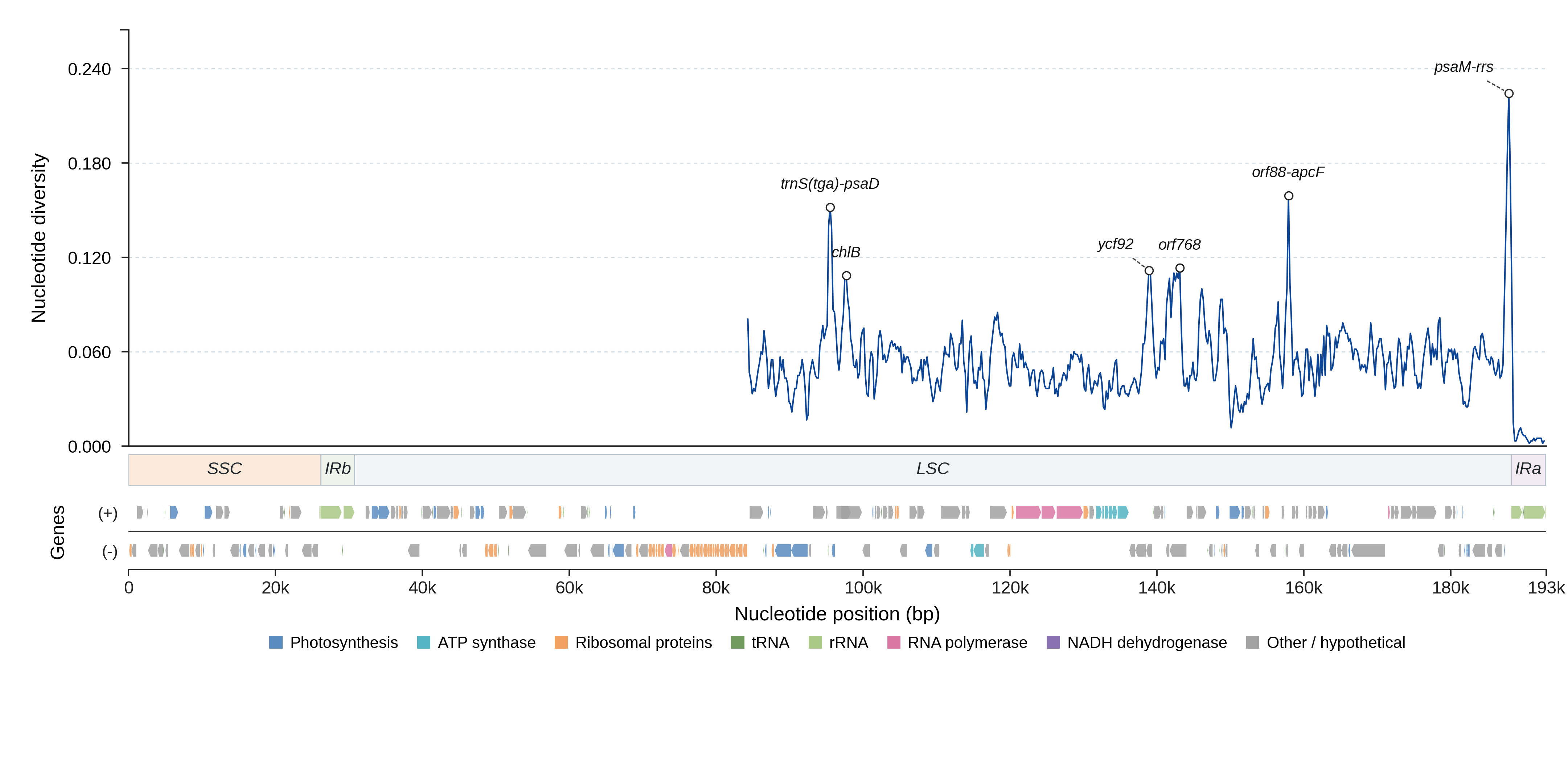 Sliding-window nucleotide diversity