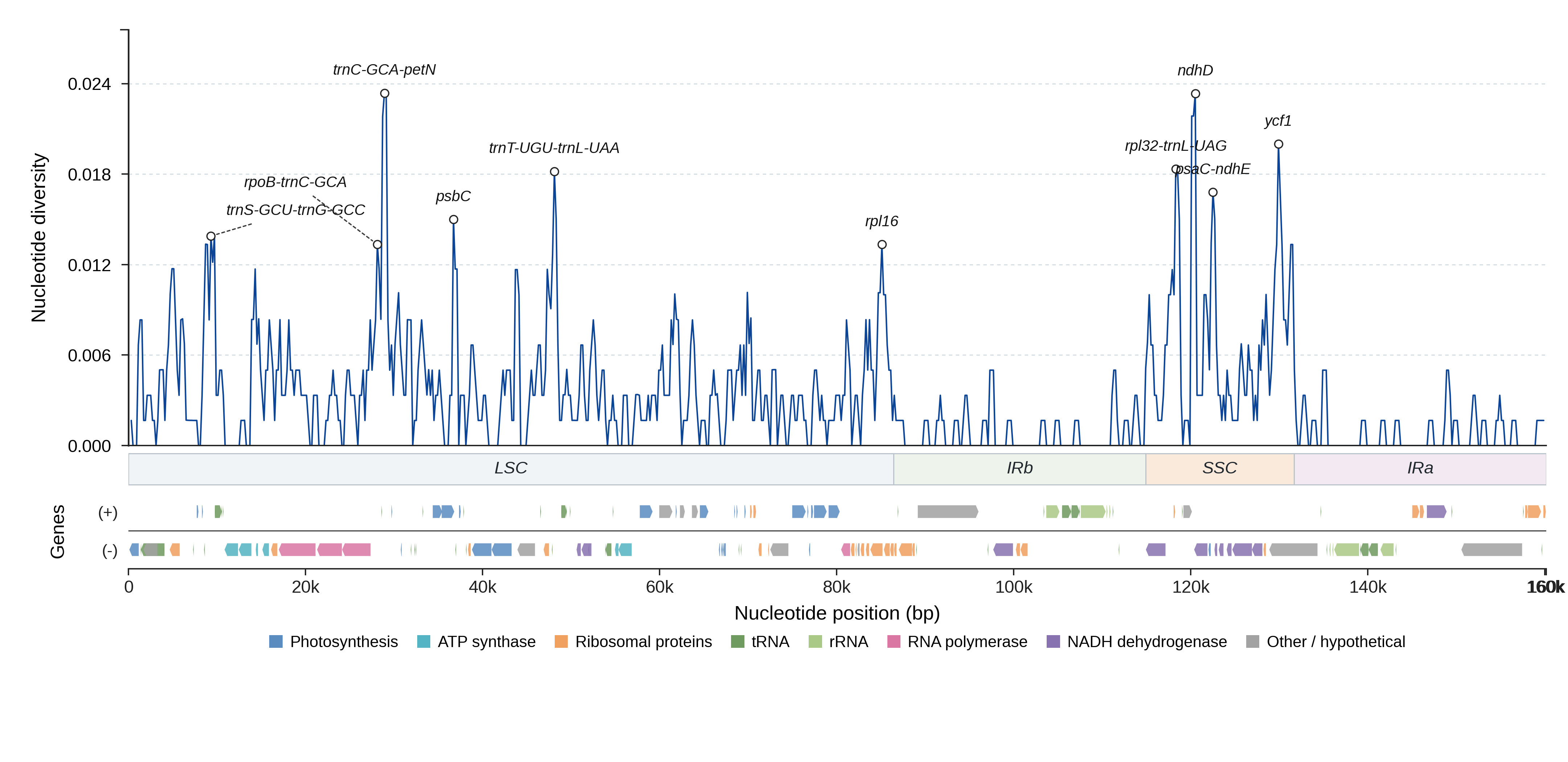 Sliding-window nucleotide diversity