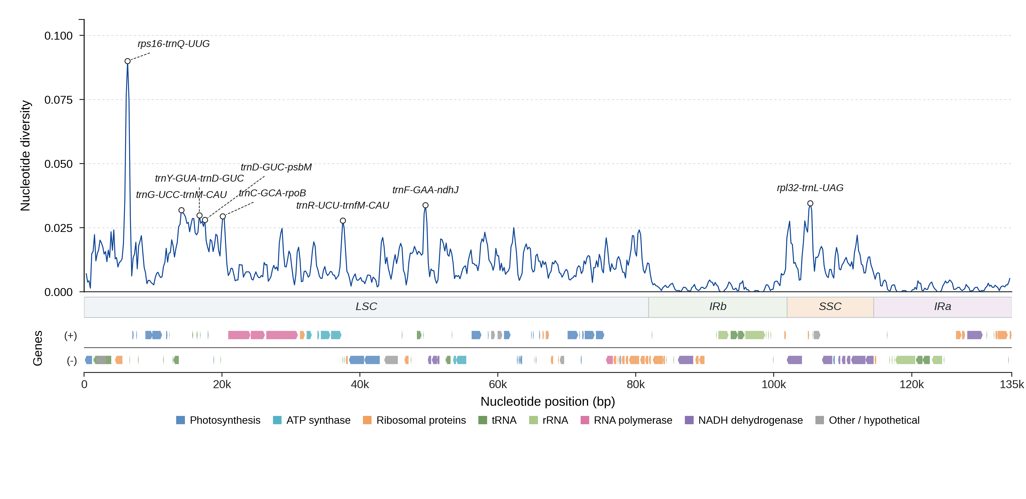 Sliding-window nucleotide diversity