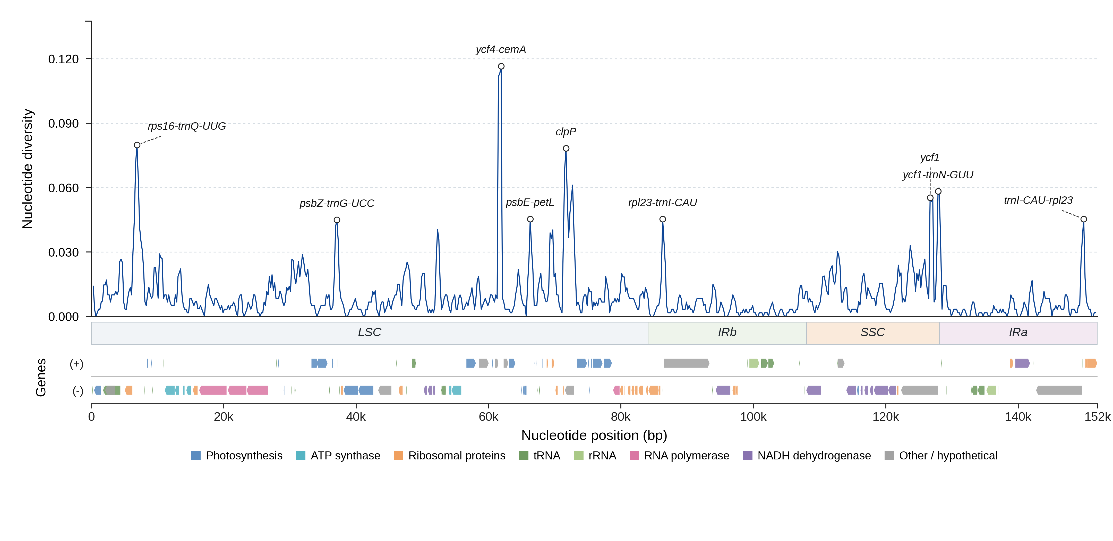 Sliding-window nucleotide diversity