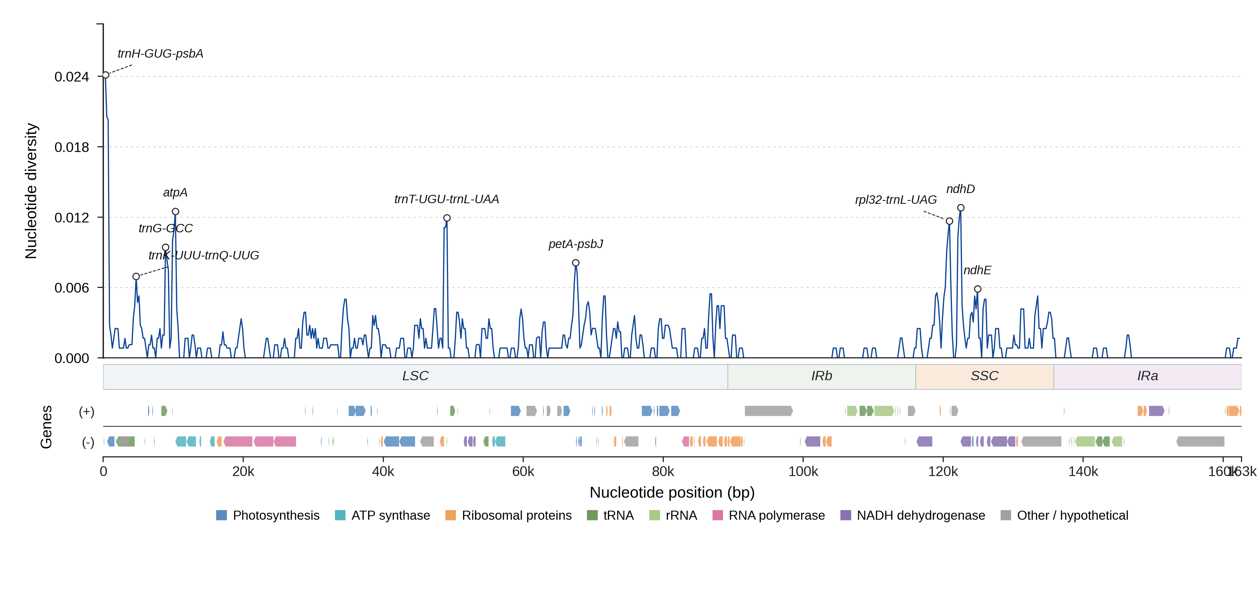 Sliding-window nucleotide diversity