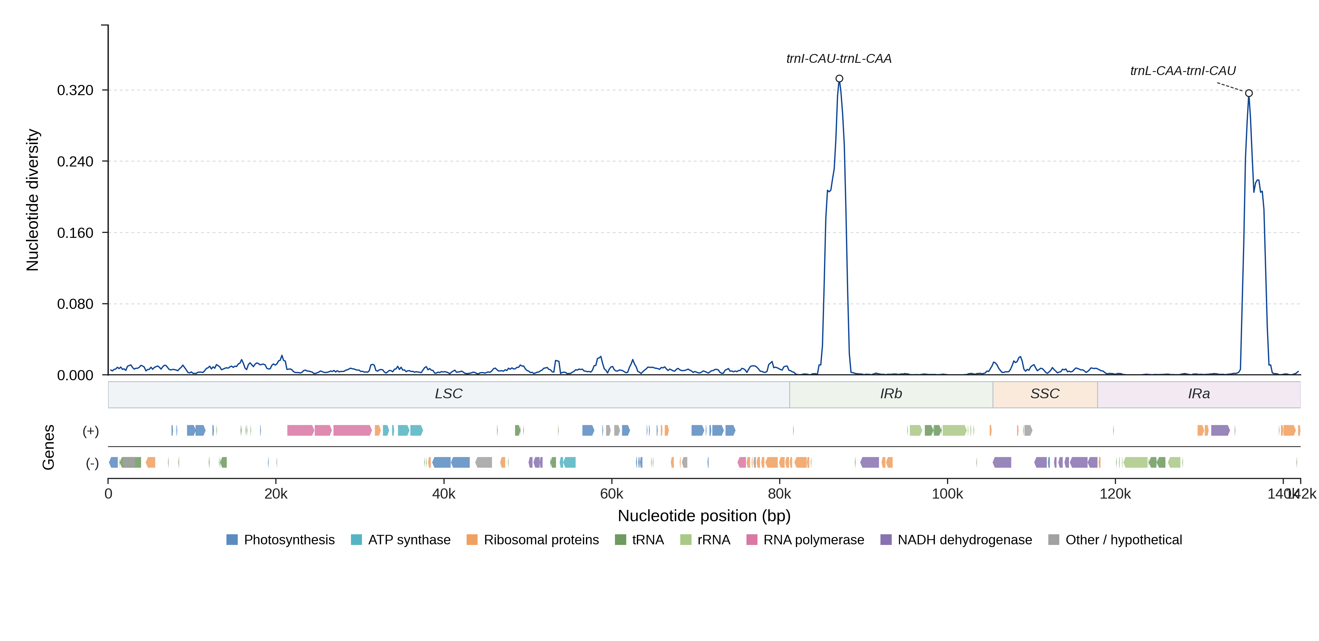 Sliding-window nucleotide diversity