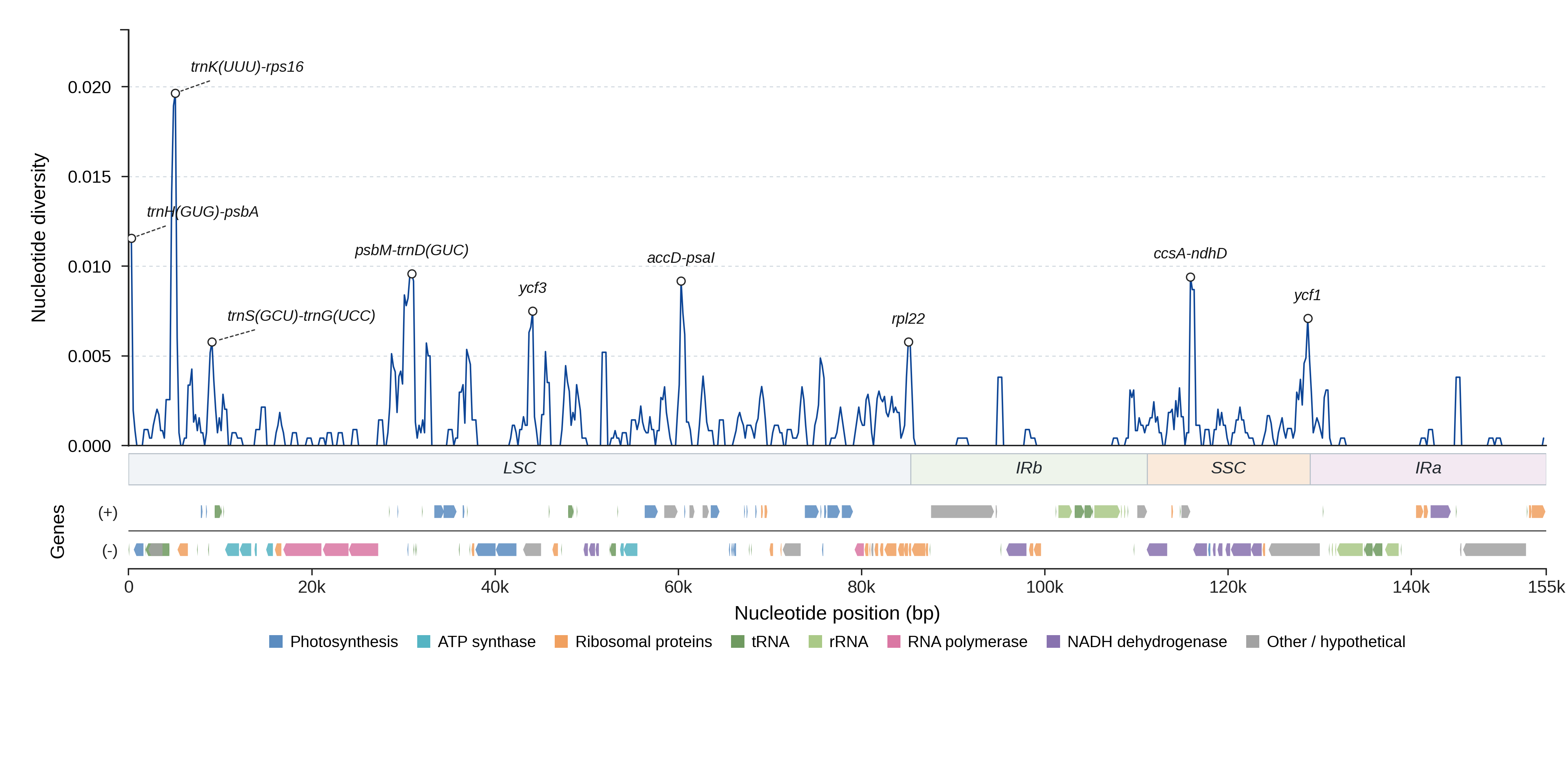 Sliding-window nucleotide diversity